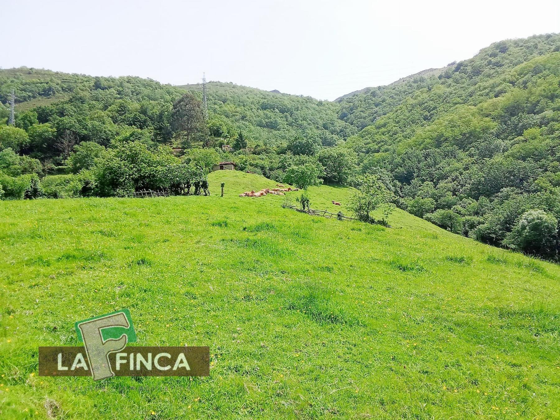Venta de terreno en Lena