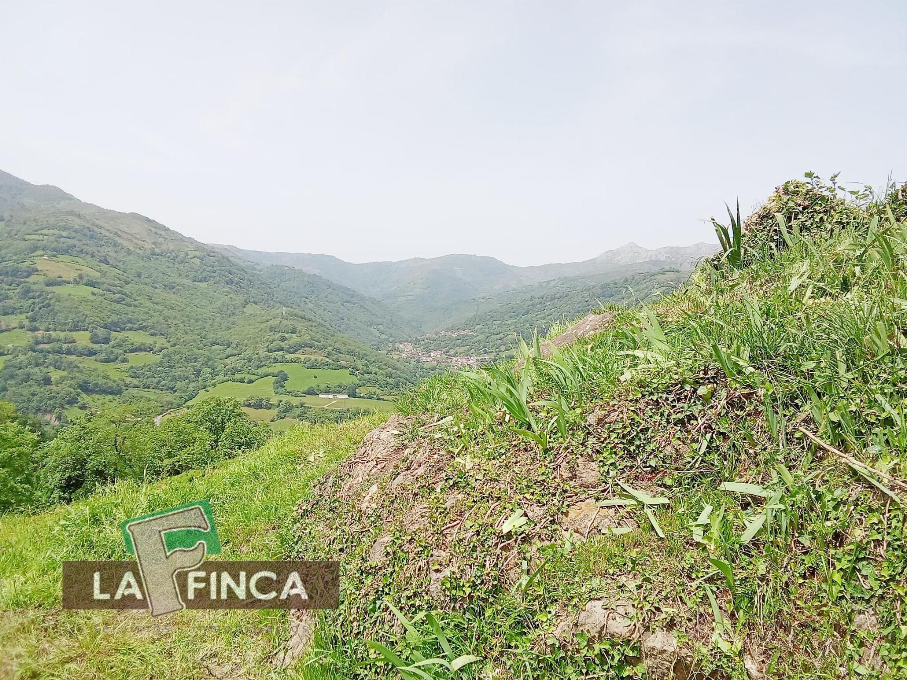Venta de terreno en Lena