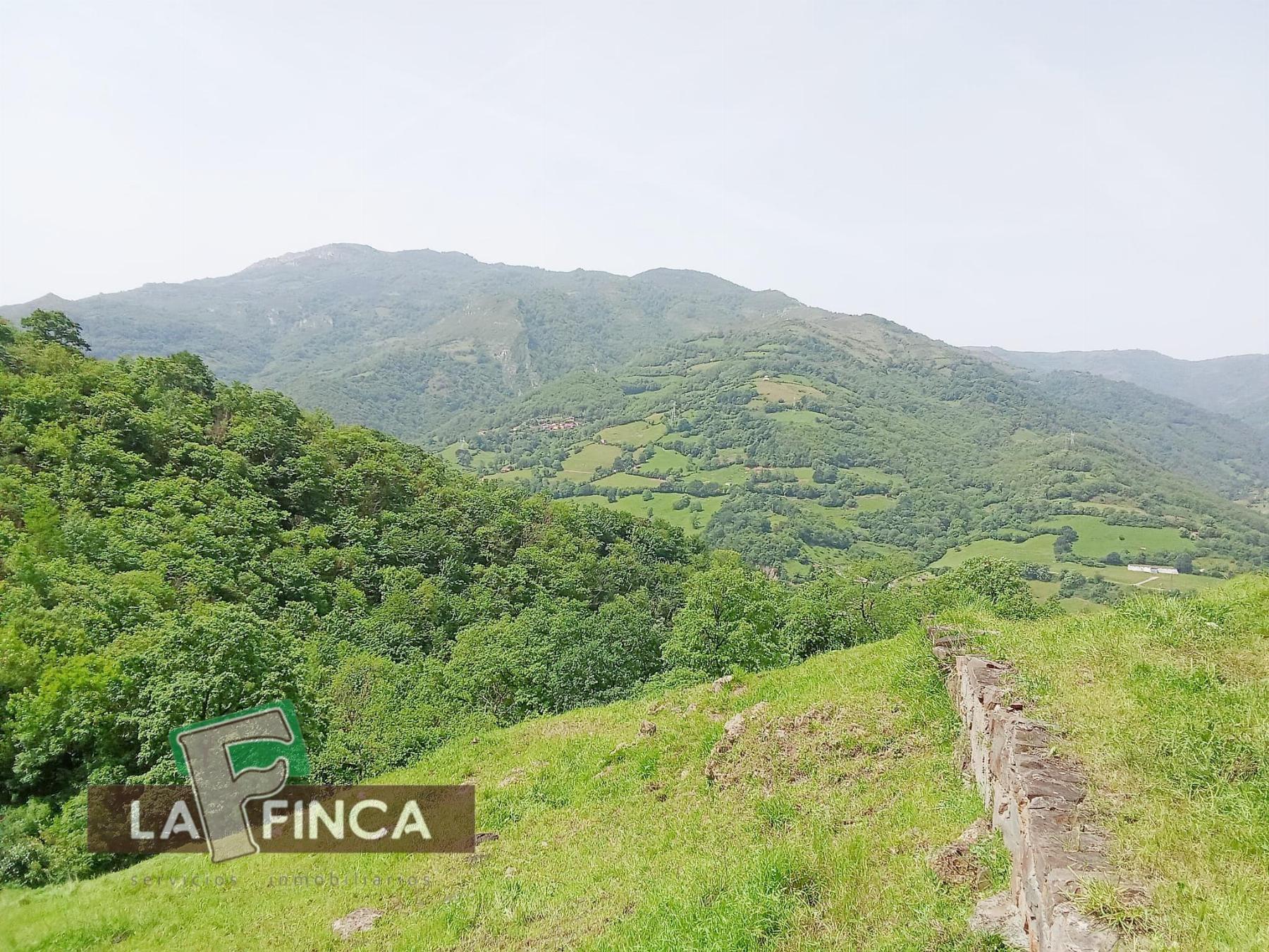 Venta de terreno en Lena
