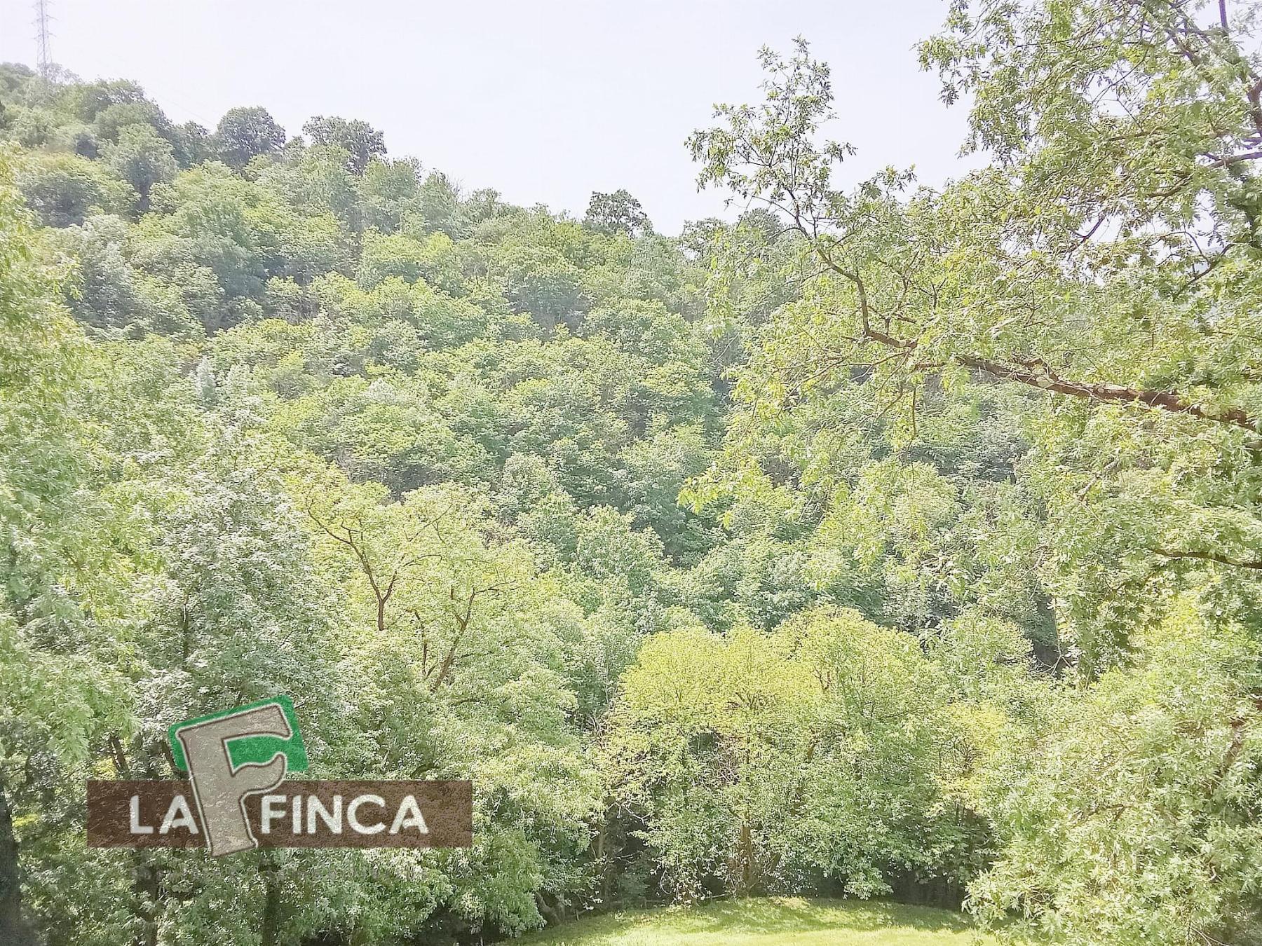 Venta de terreno en Lena