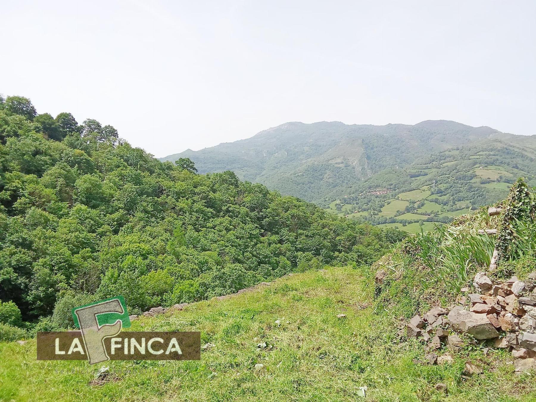 Venta de terreno en Lena