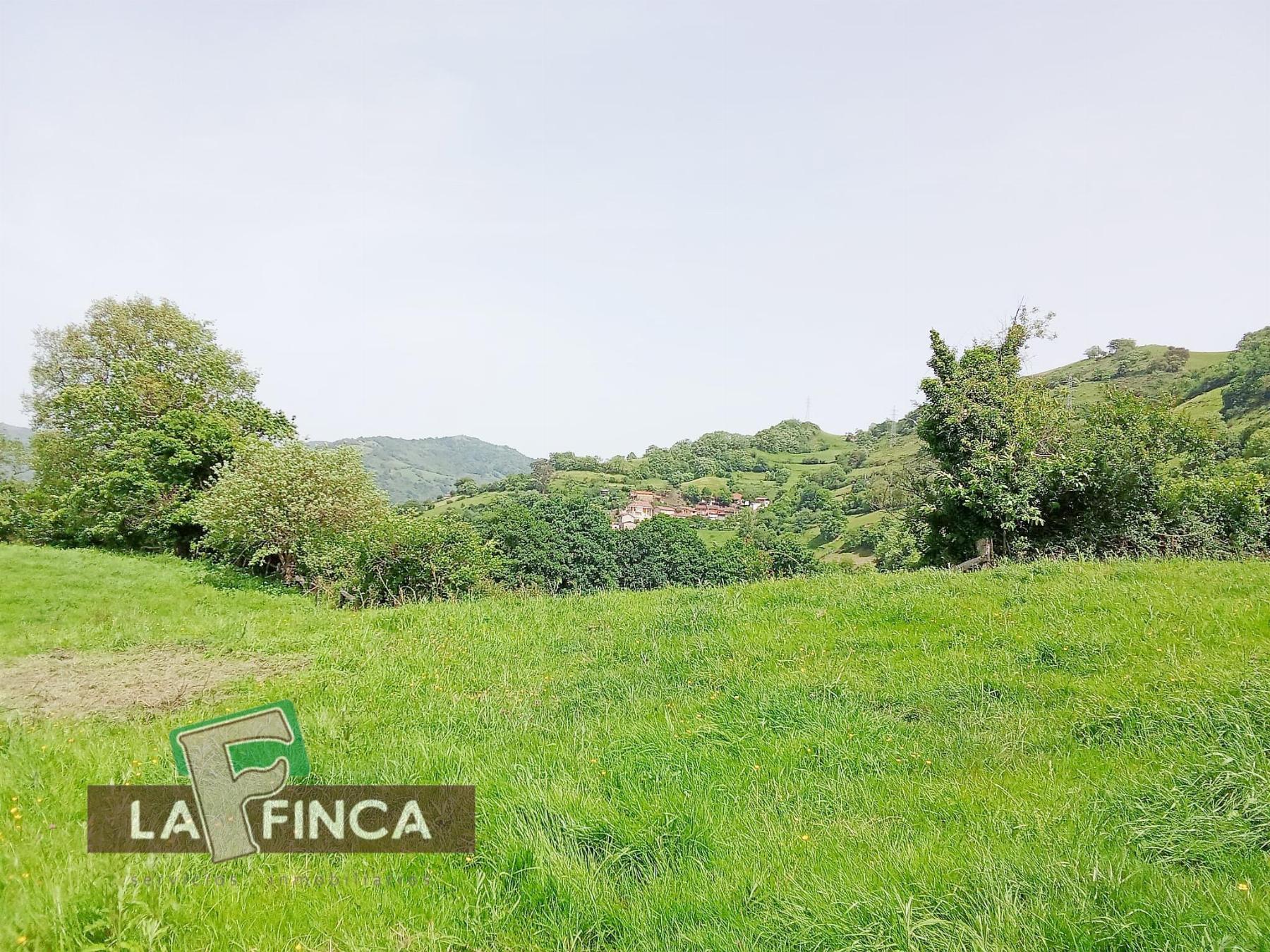 Venta de terreno en Lena