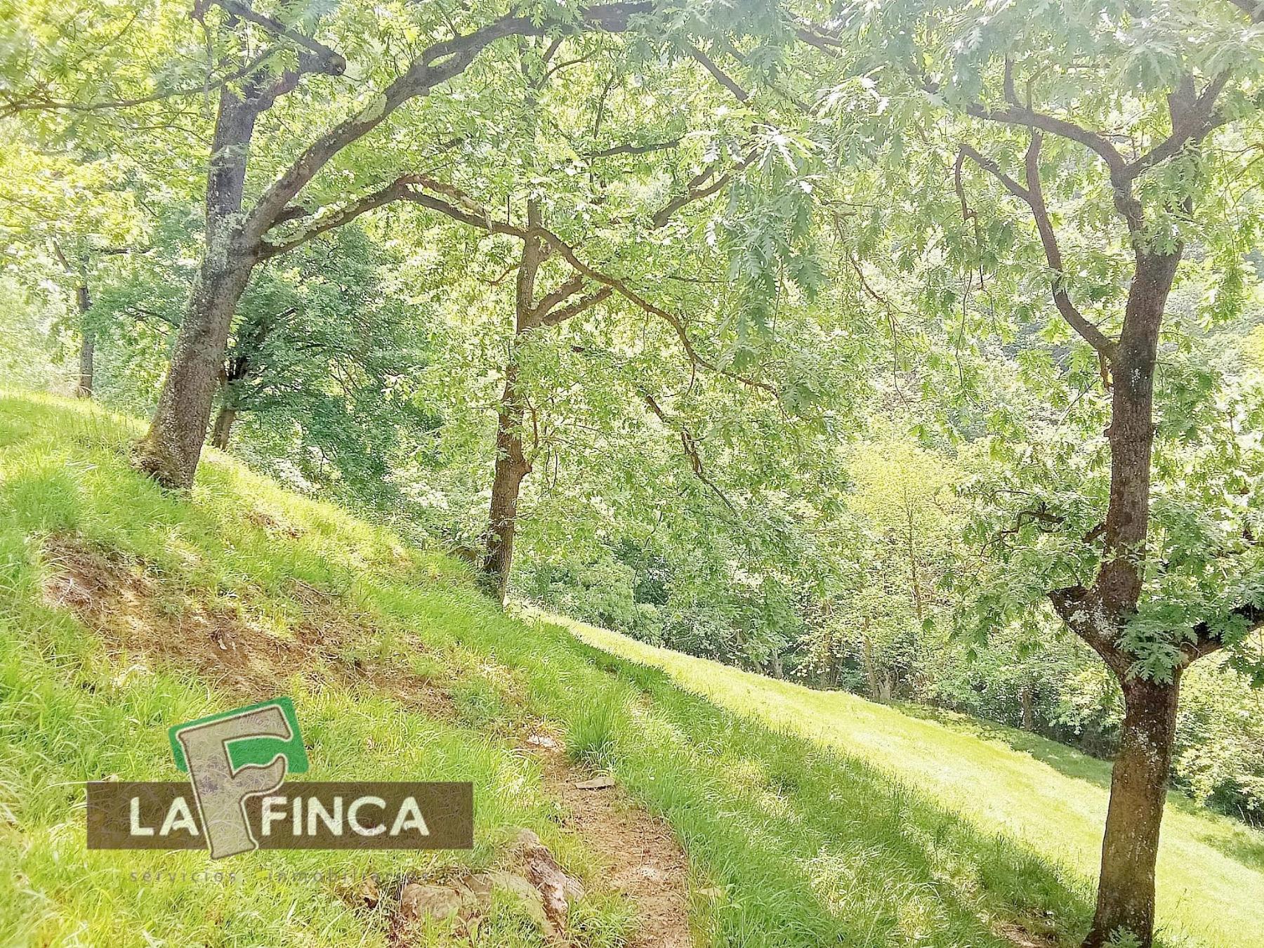 Venta de terreno en Lena