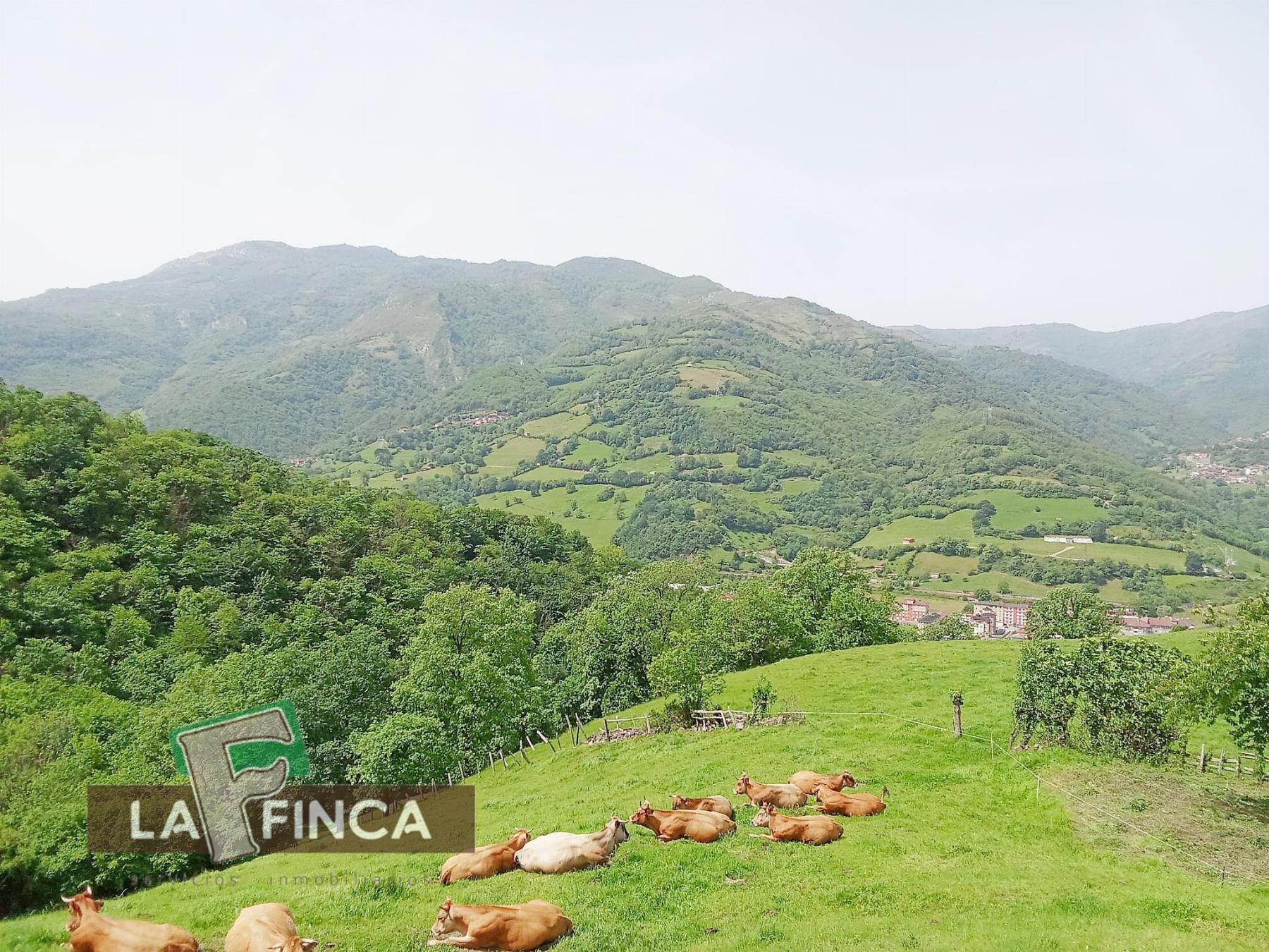 Venta de terreno en Lena