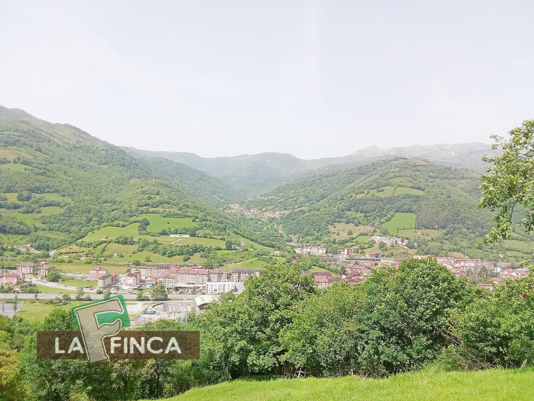 Venta de terreno en Lena