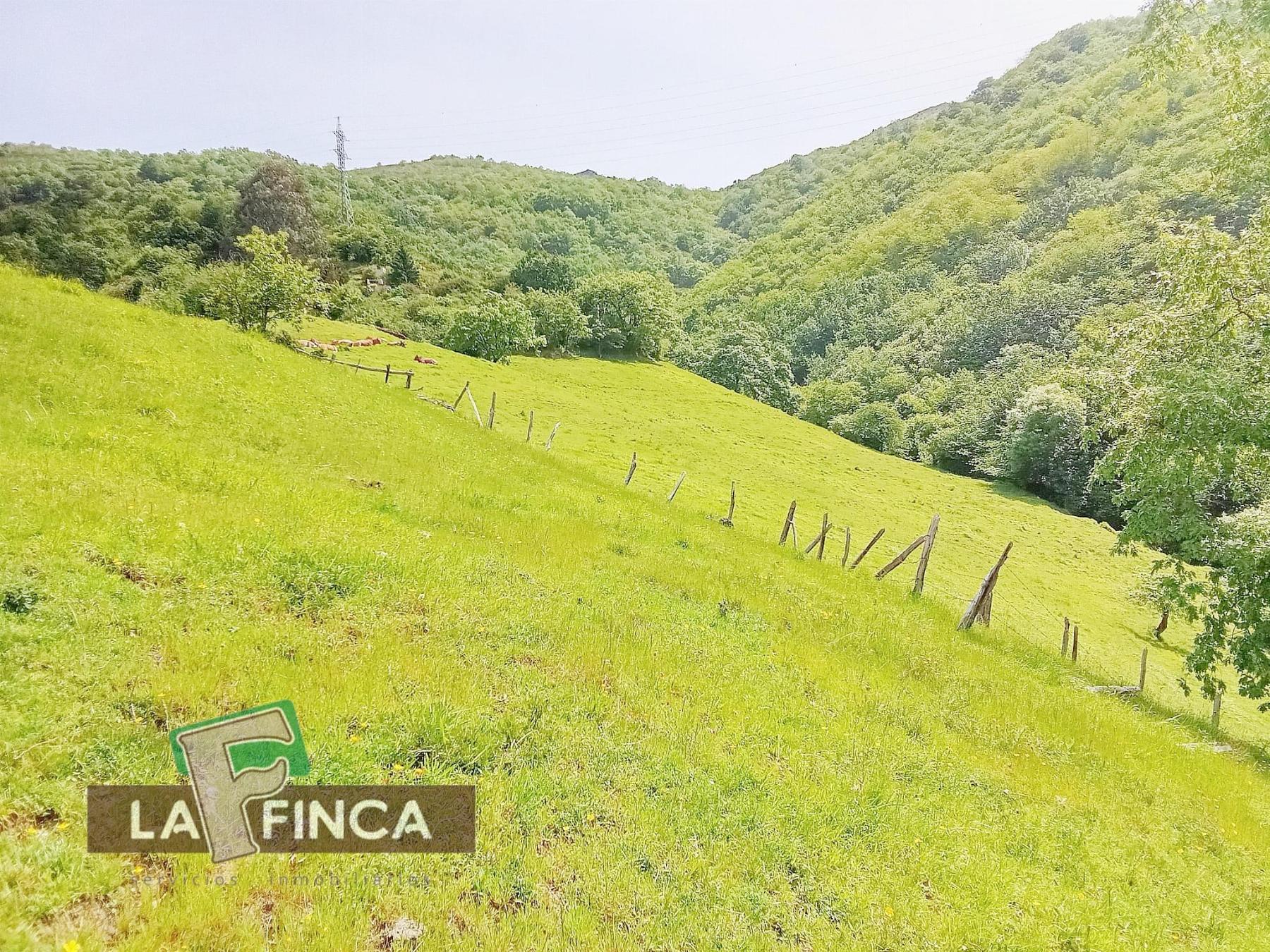 Venta de terreno en Lena
