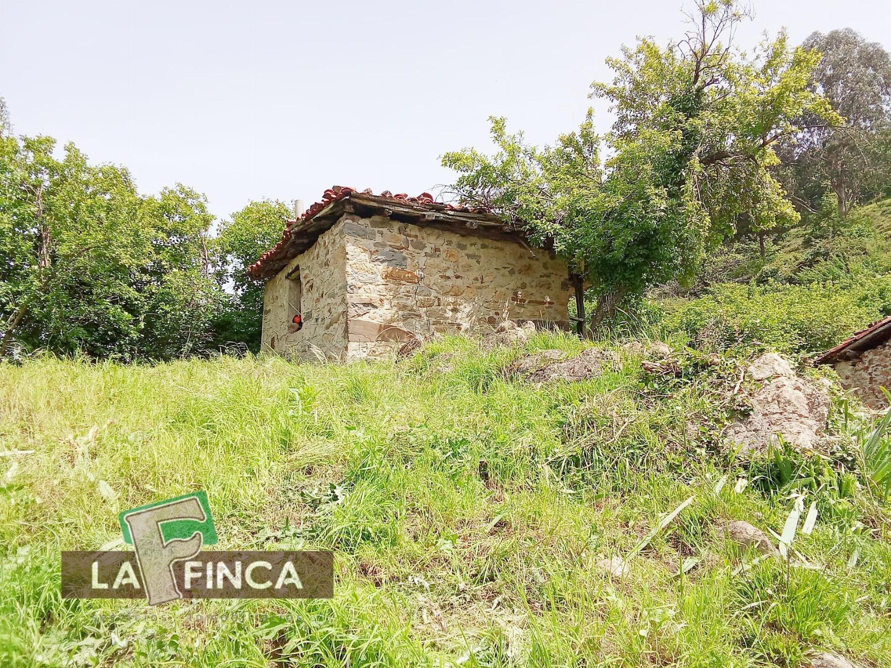 Venta de terreno en Lena