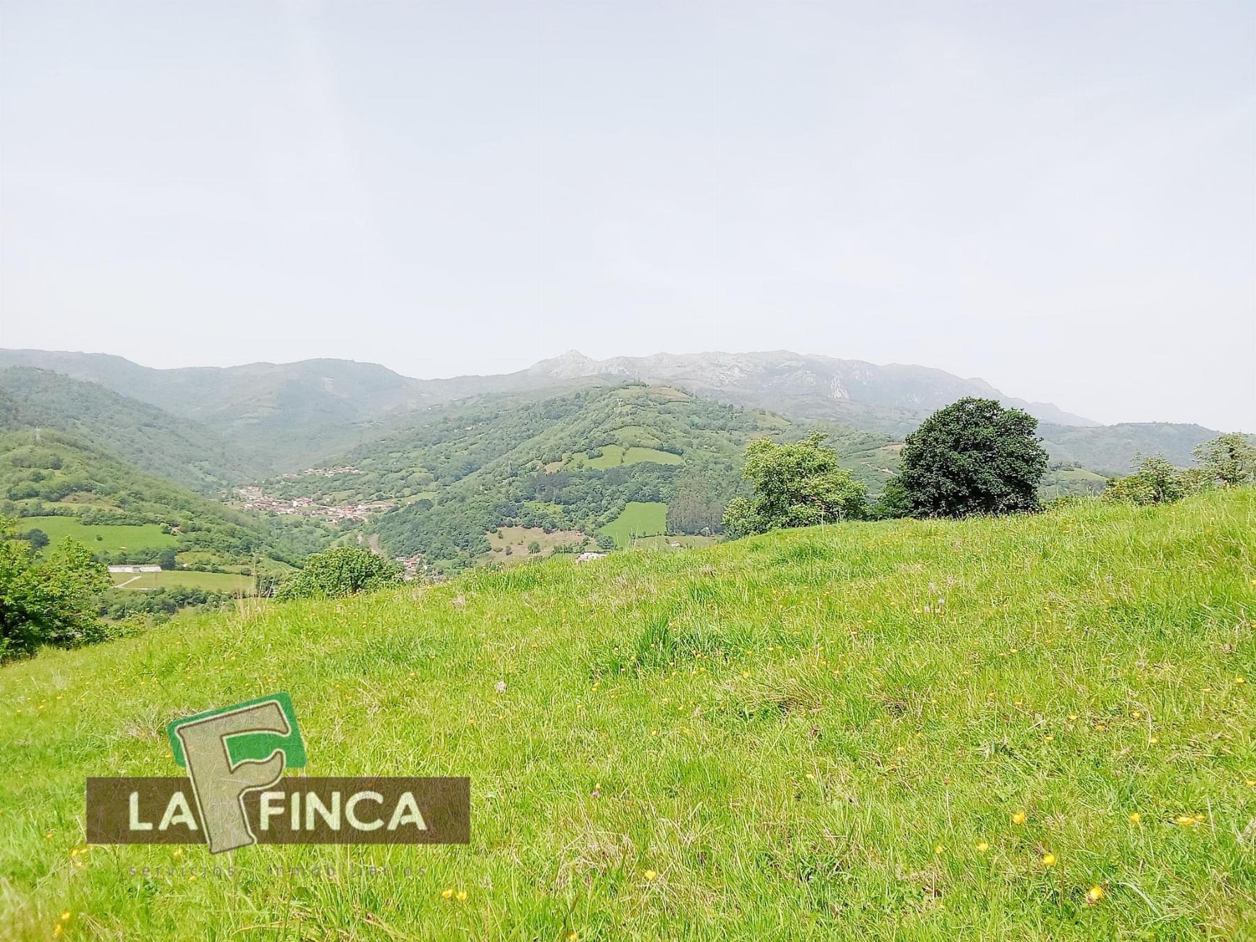 Venta de terreno en Lena