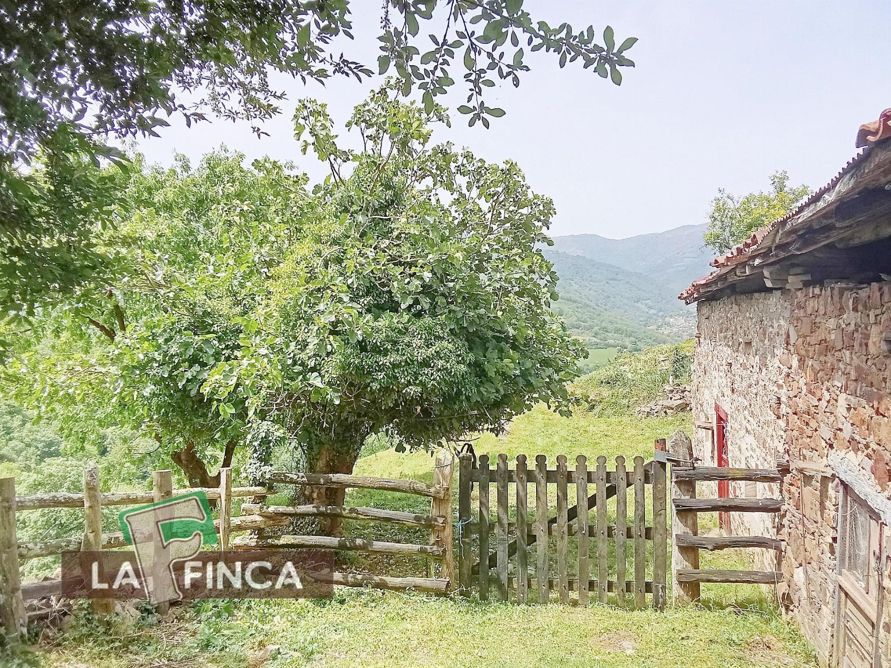 Venta de terreno en Lena
