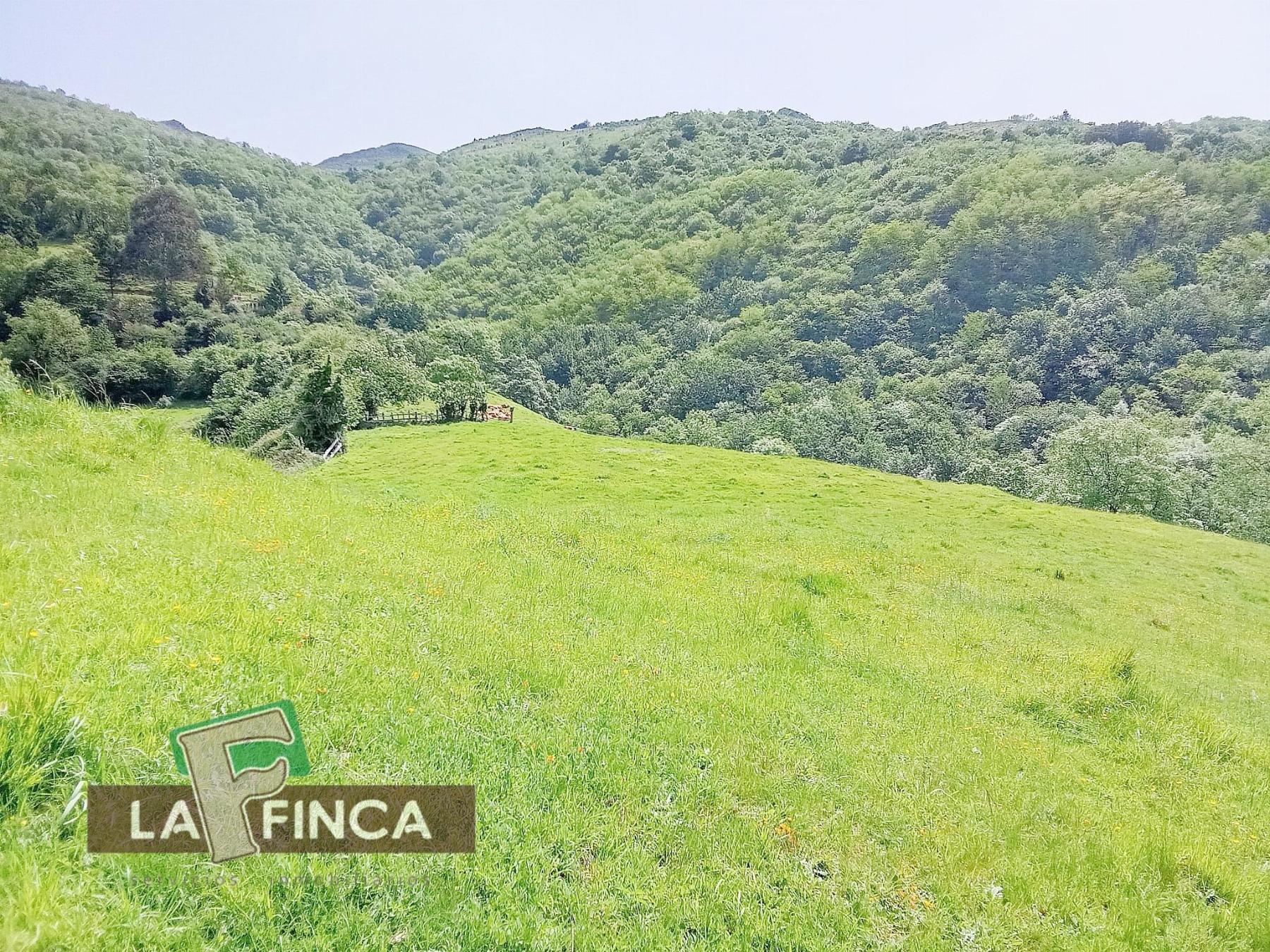 Venta de terreno en Lena
