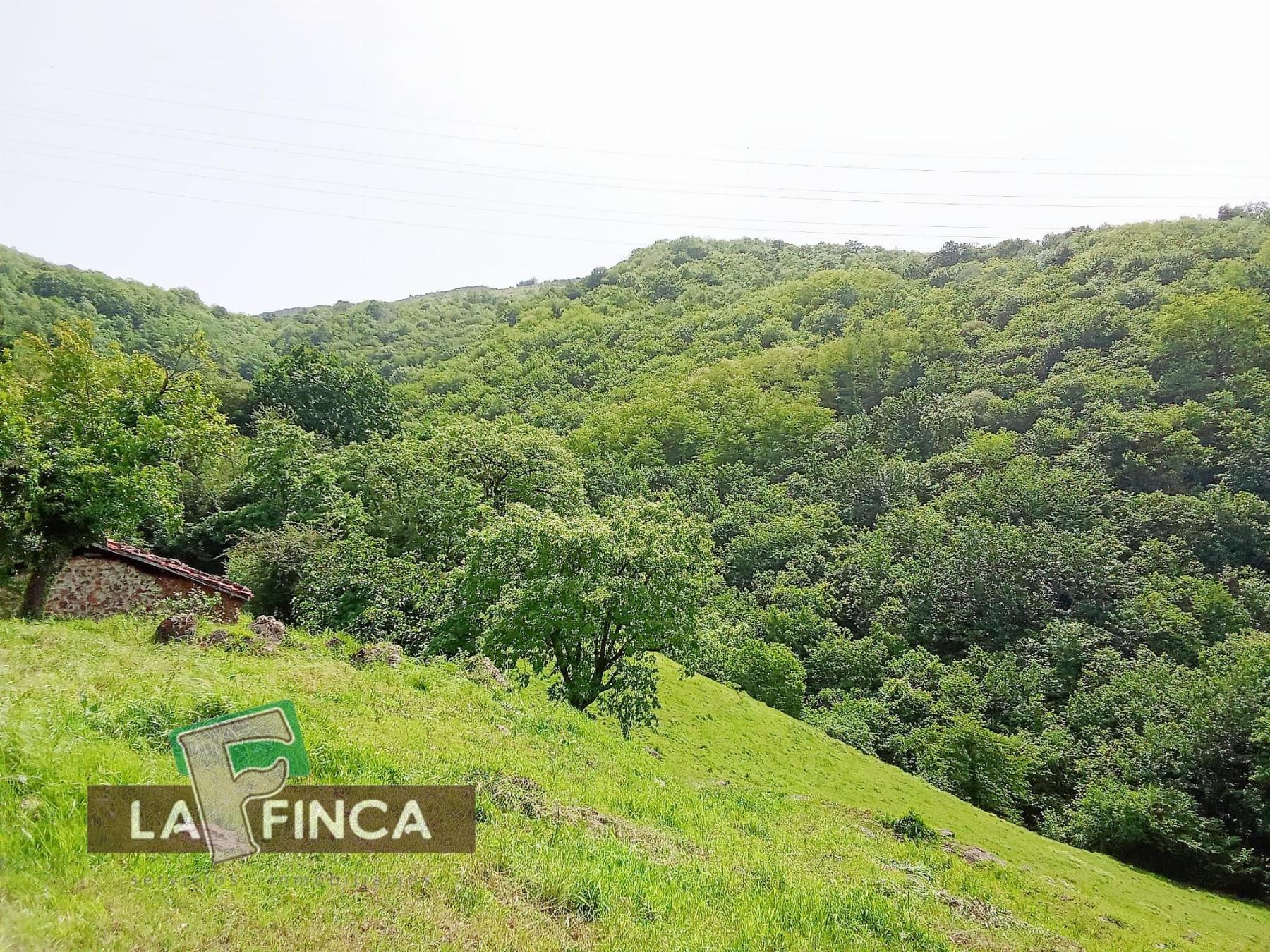 Venta de terreno en Lena