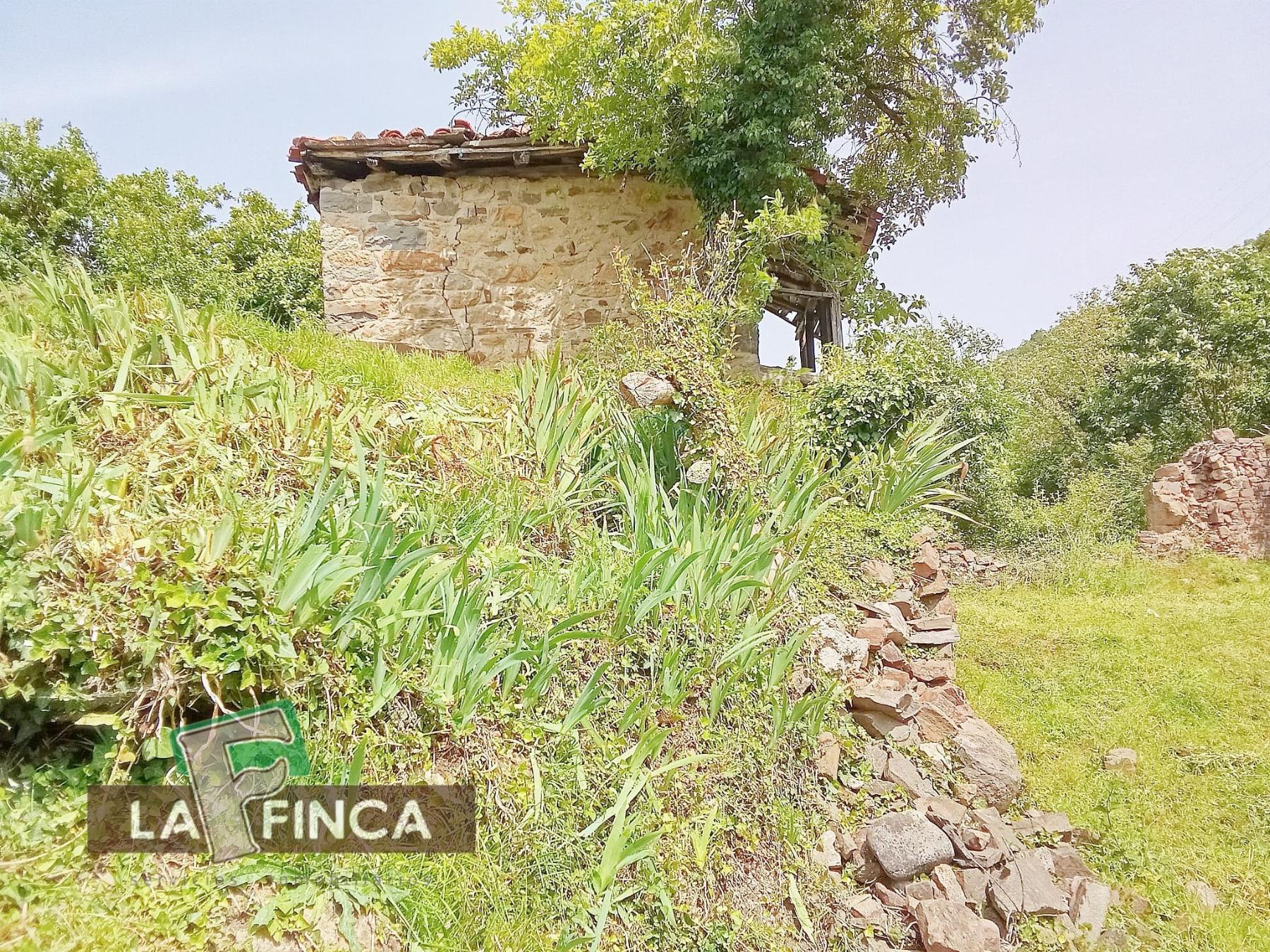 Venta de terreno en Lena