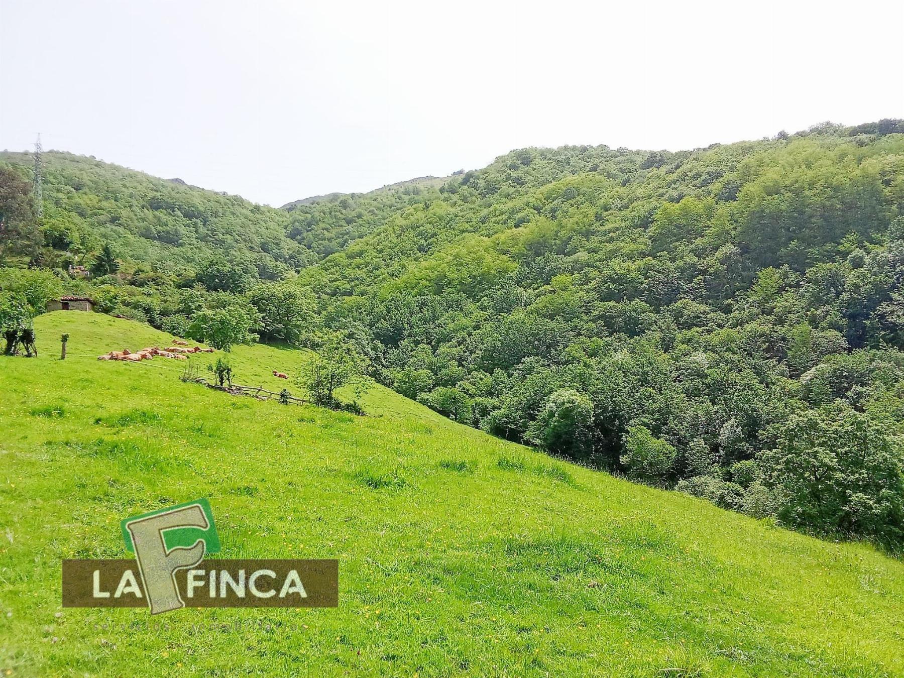 Venta de terreno en Lena