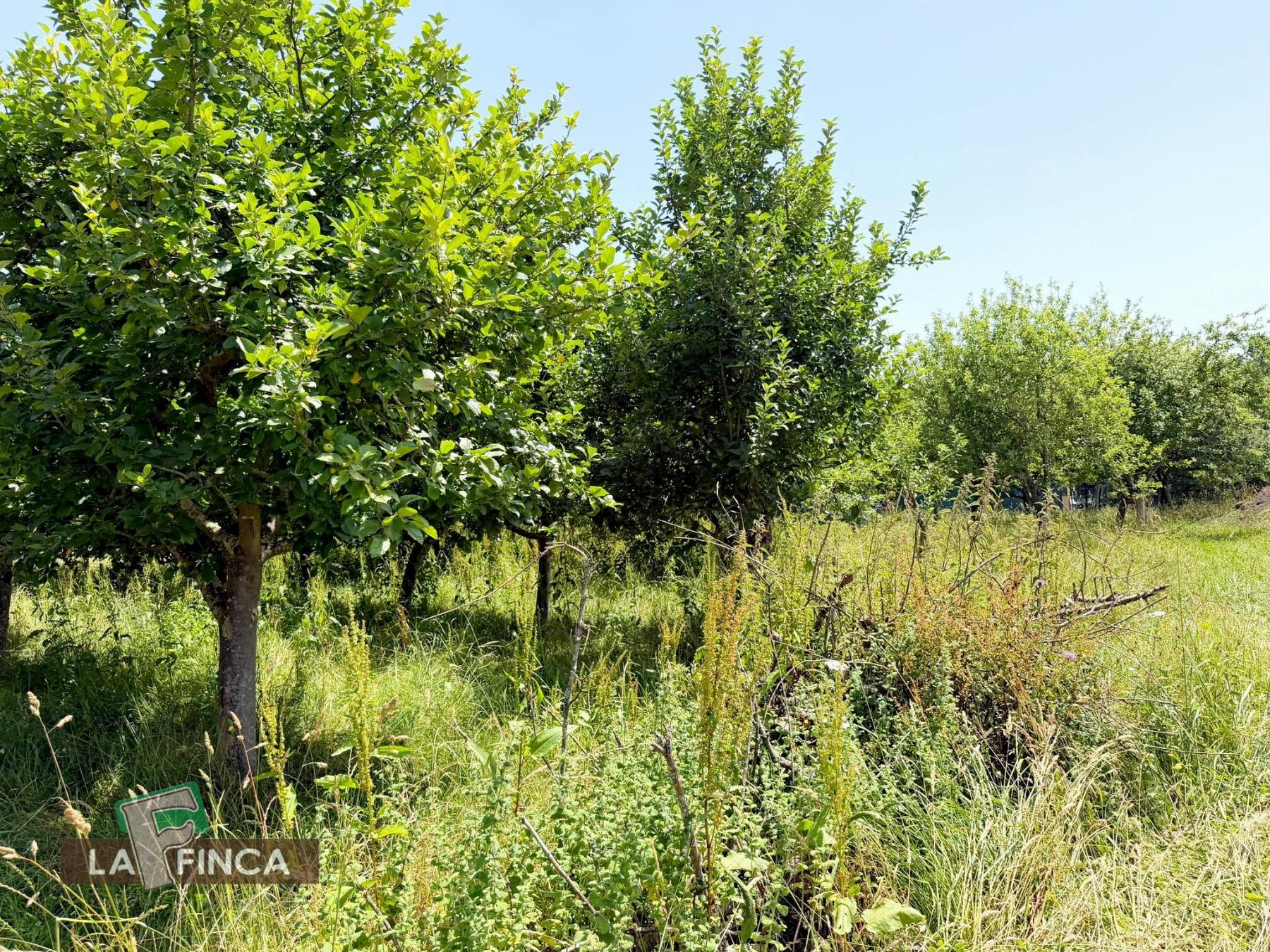 Venta de terreno en Siero