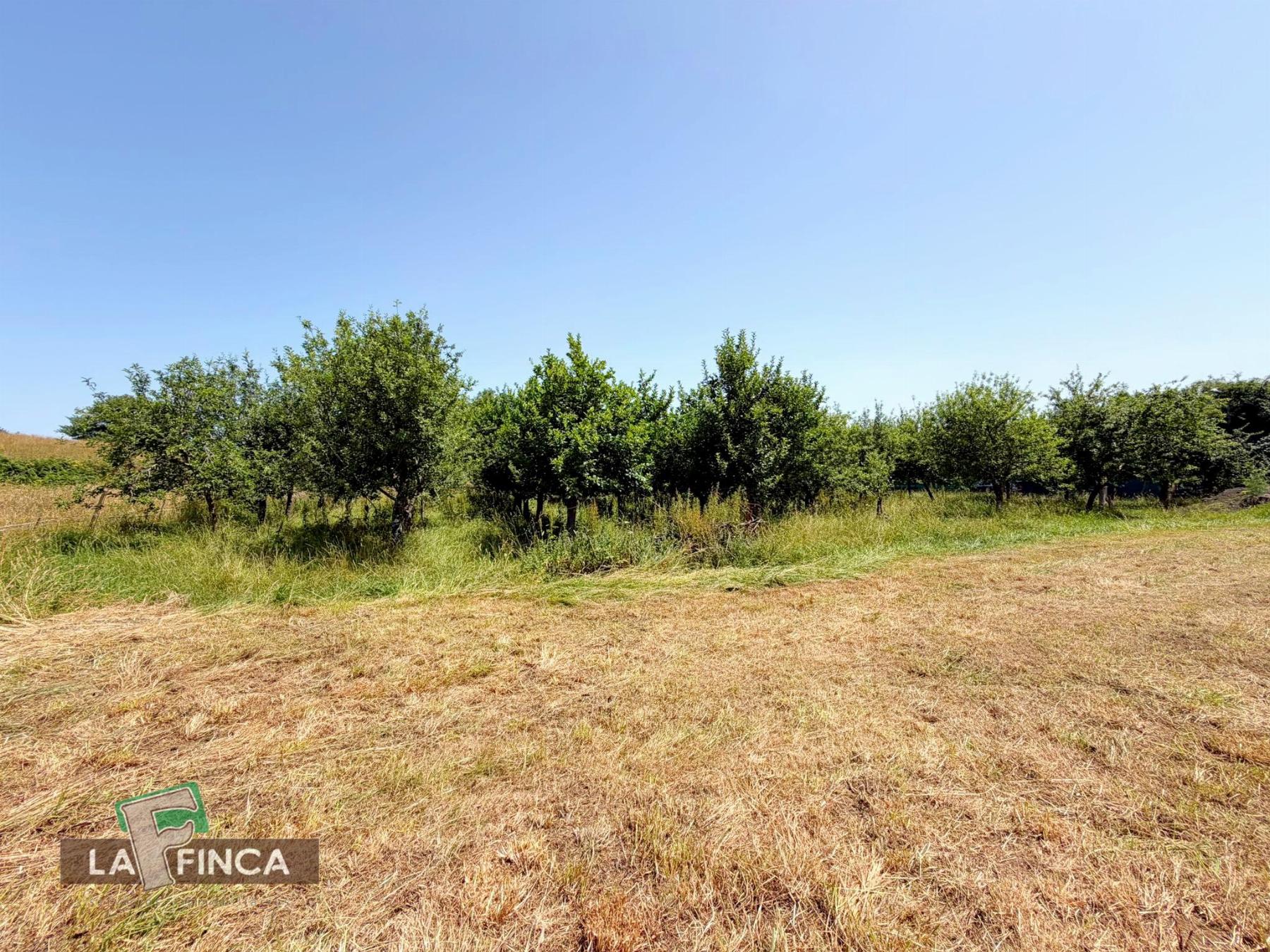 Venta de terreno en Siero