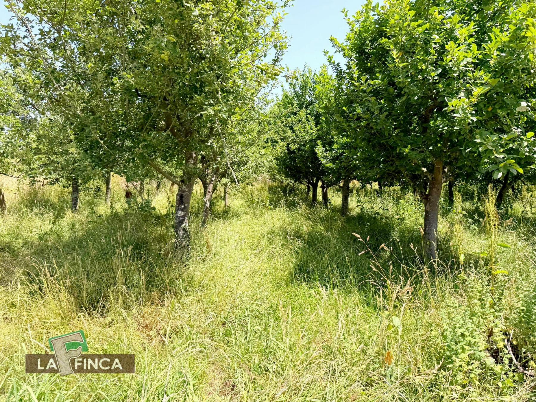 Venta de terreno en Siero