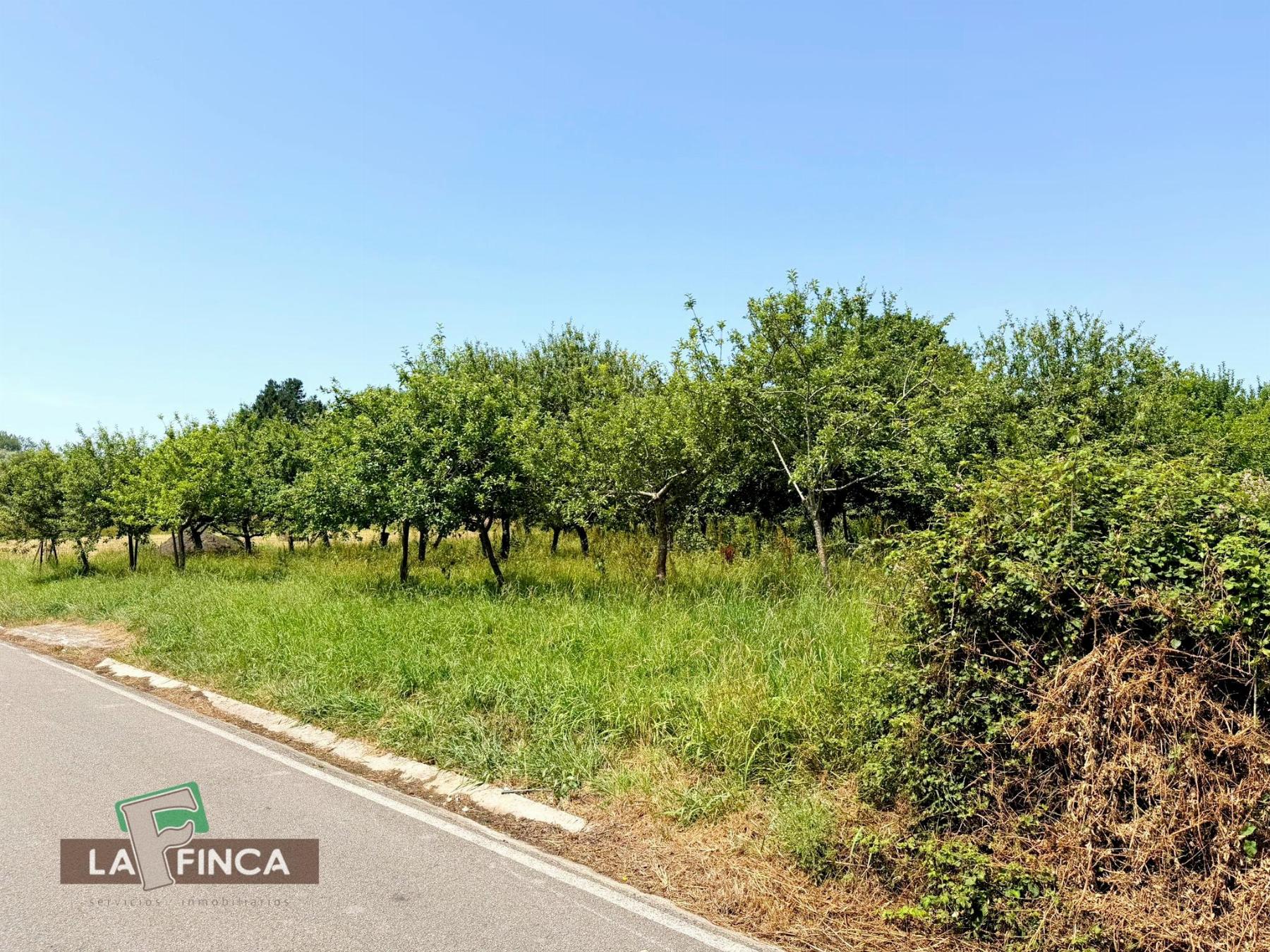 Venta de terreno en Siero
