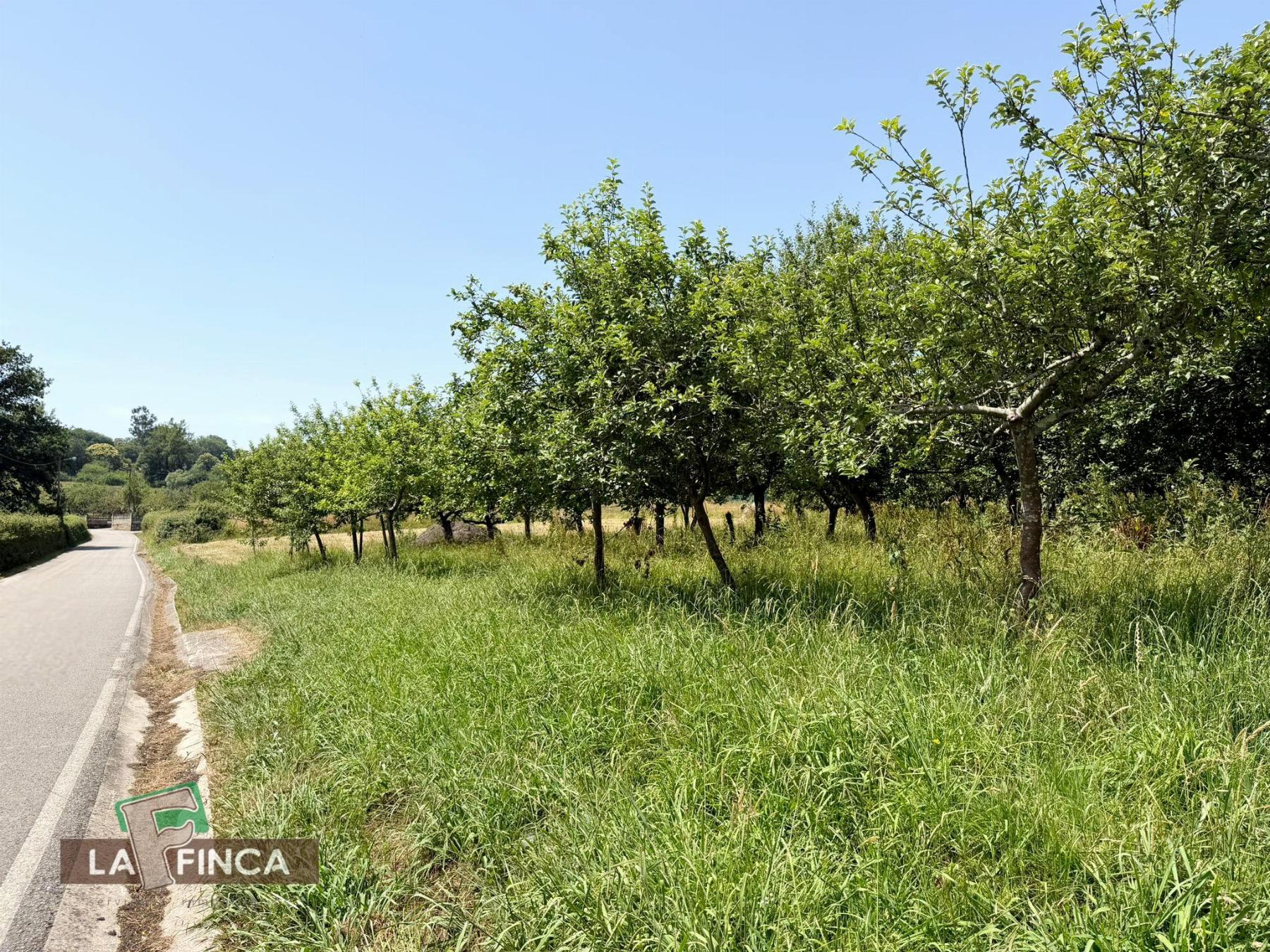 Venta de terreno en Siero