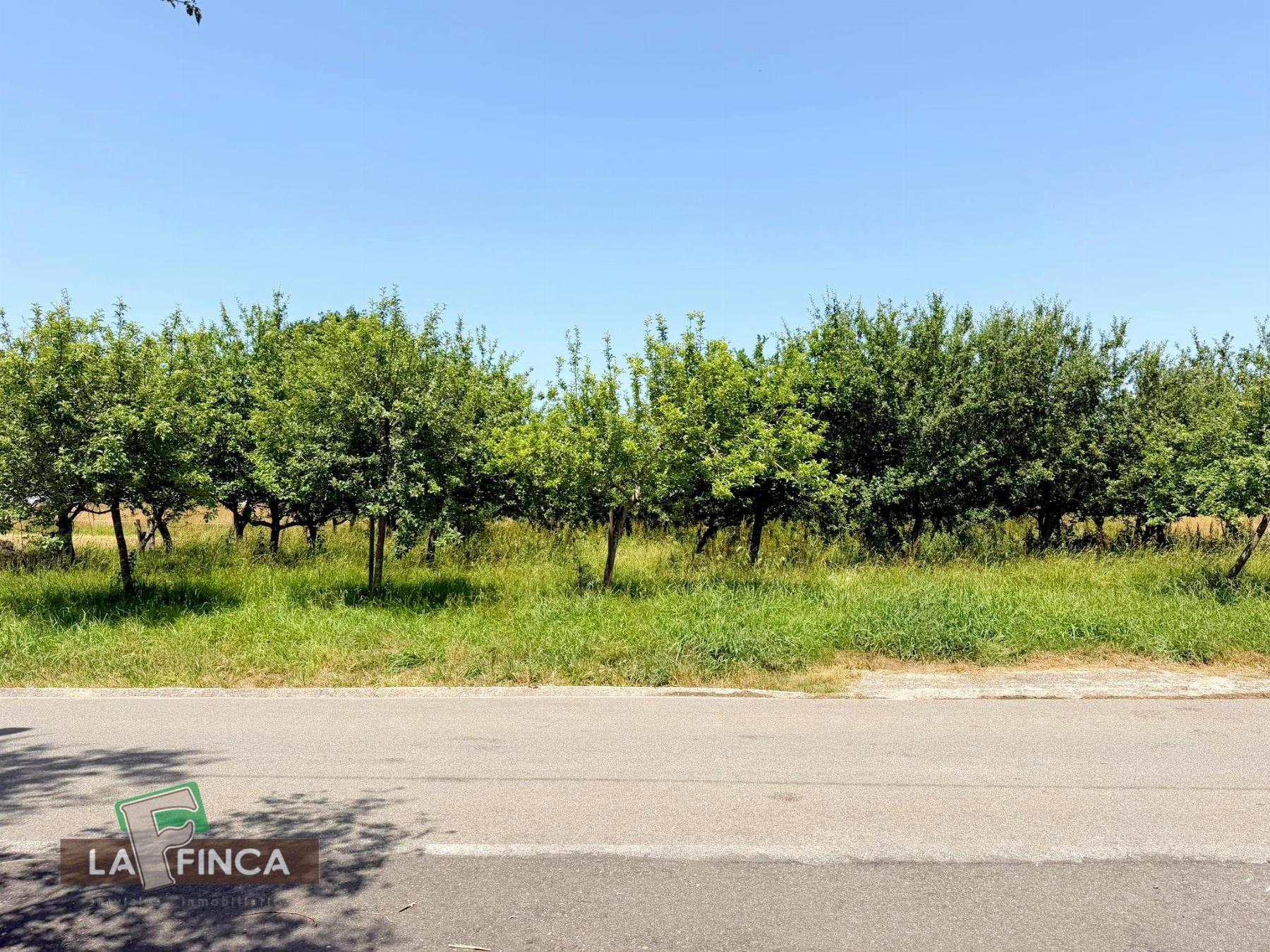Venta de terreno en Siero