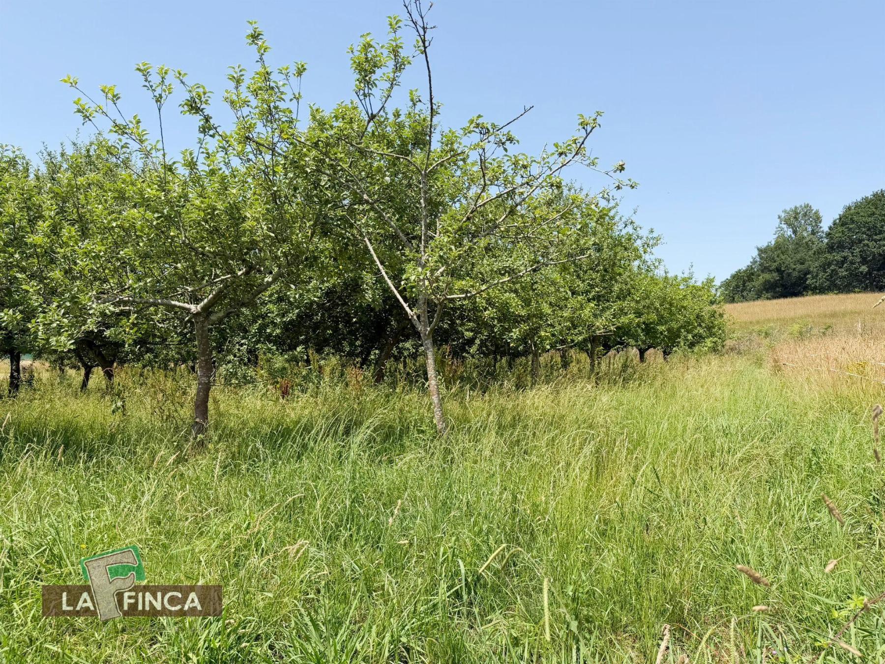 Venta de terreno en Siero