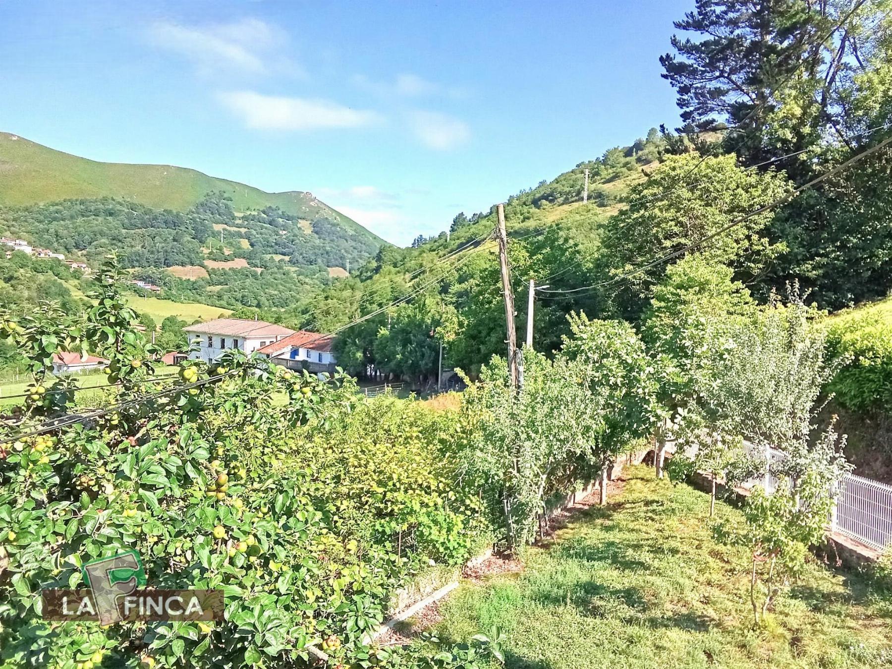 Venta de casa en Belmonte de Miranda