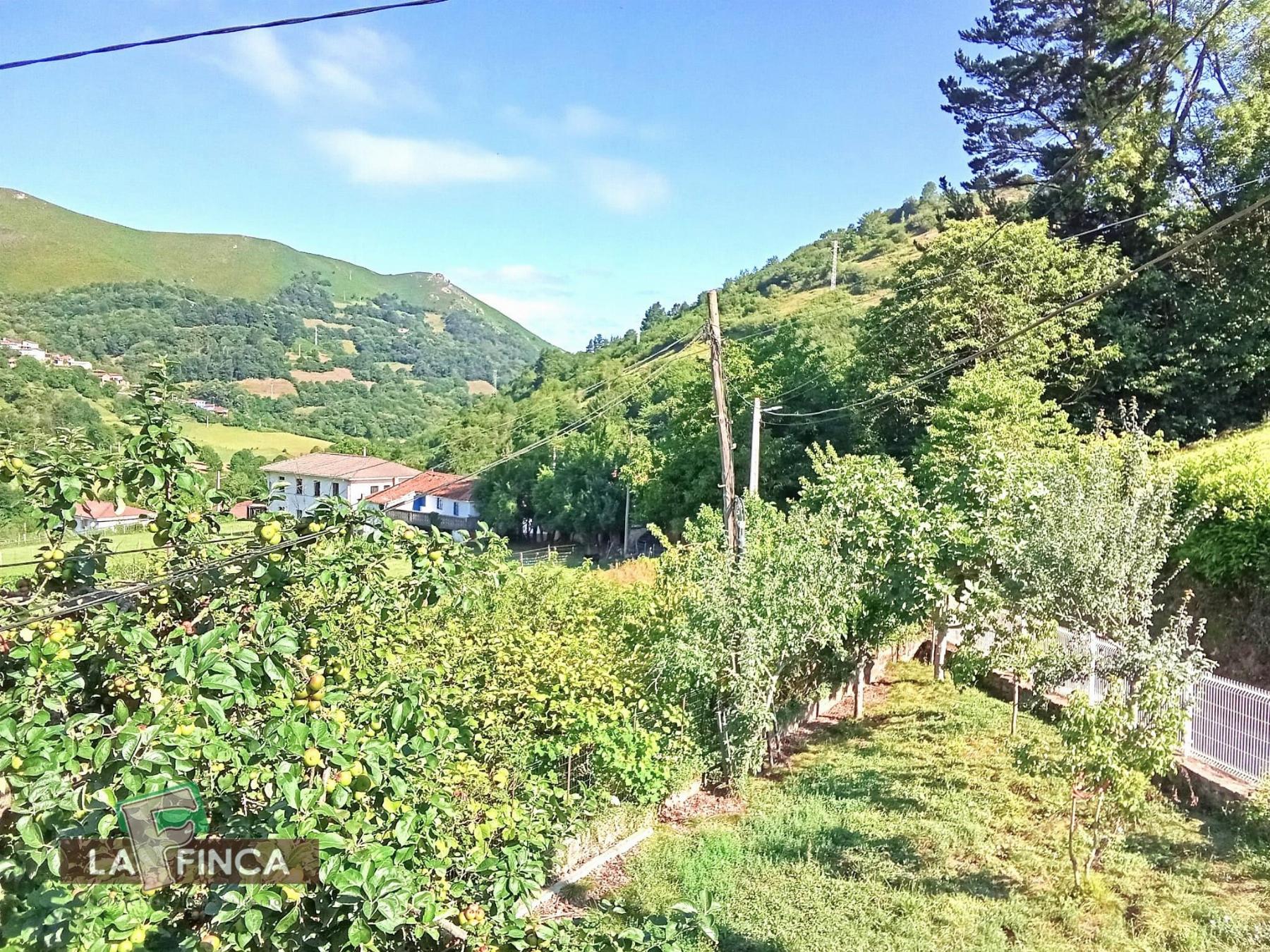 Venta de casa en Belmonte de Miranda