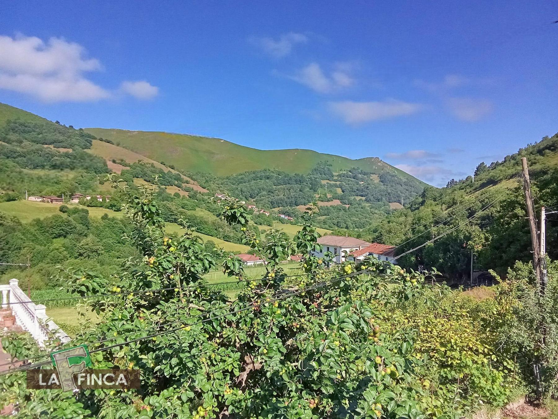 Venta de casa en Belmonte de Miranda
