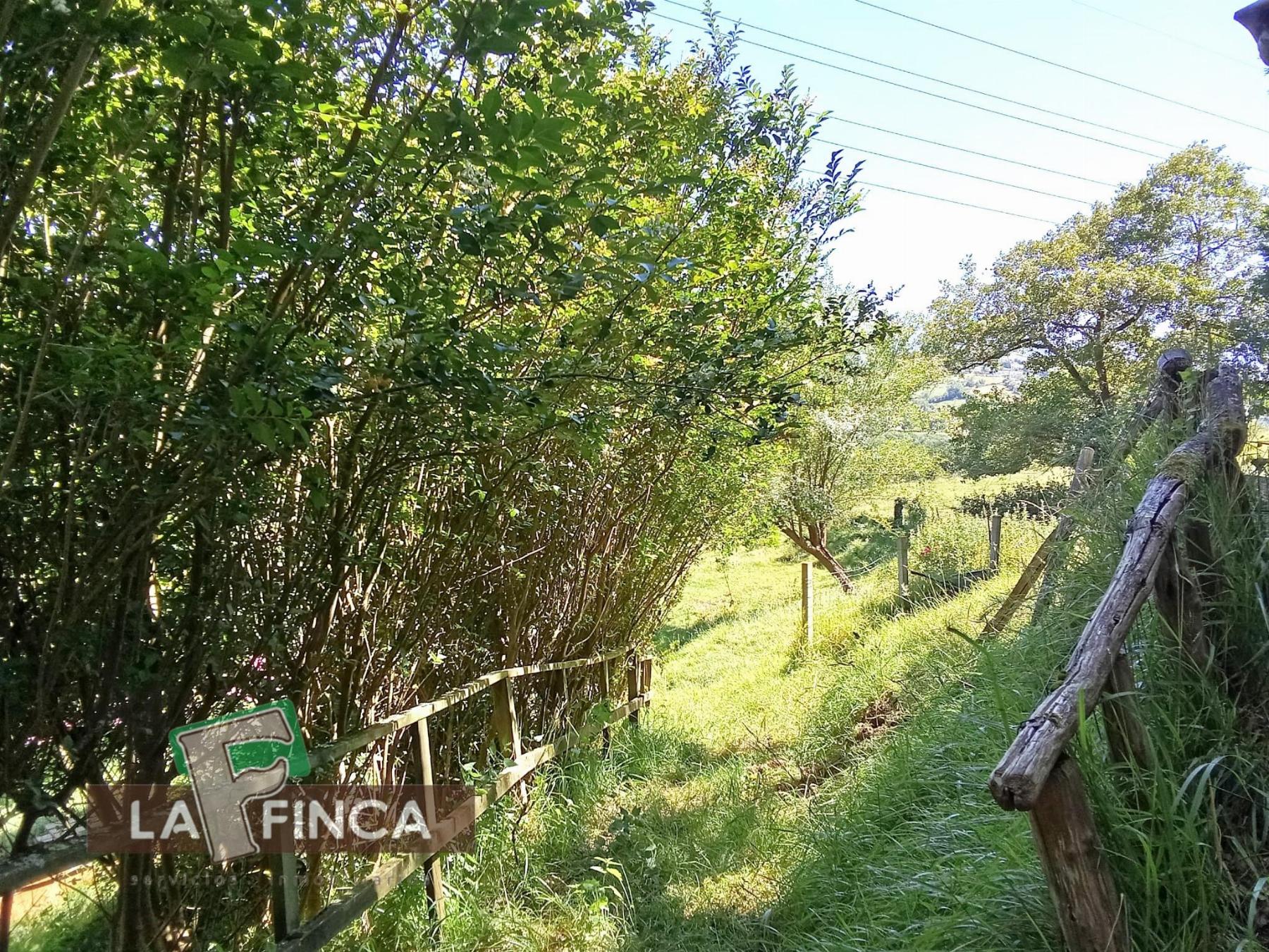 Venta de terreno en Oviedo