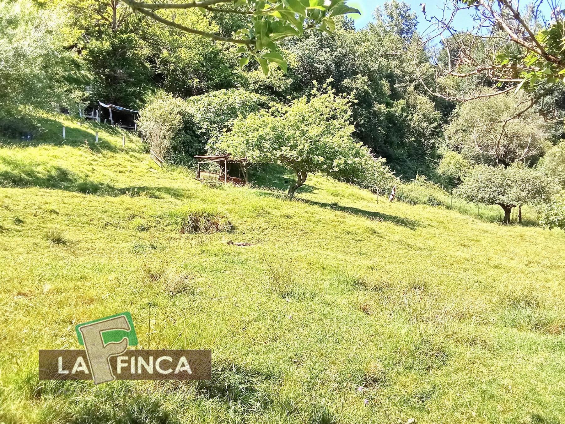 Venta de terreno en Oviedo