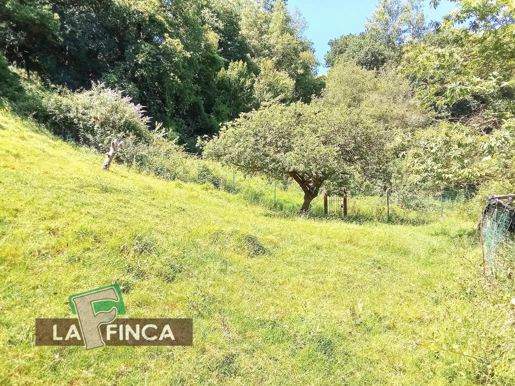 Venta de terreno en Oviedo