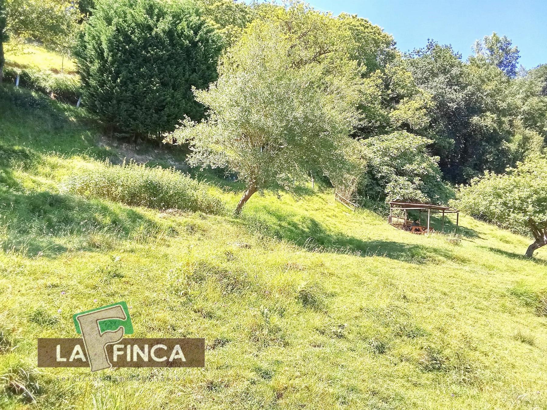 Venta de terreno en Oviedo