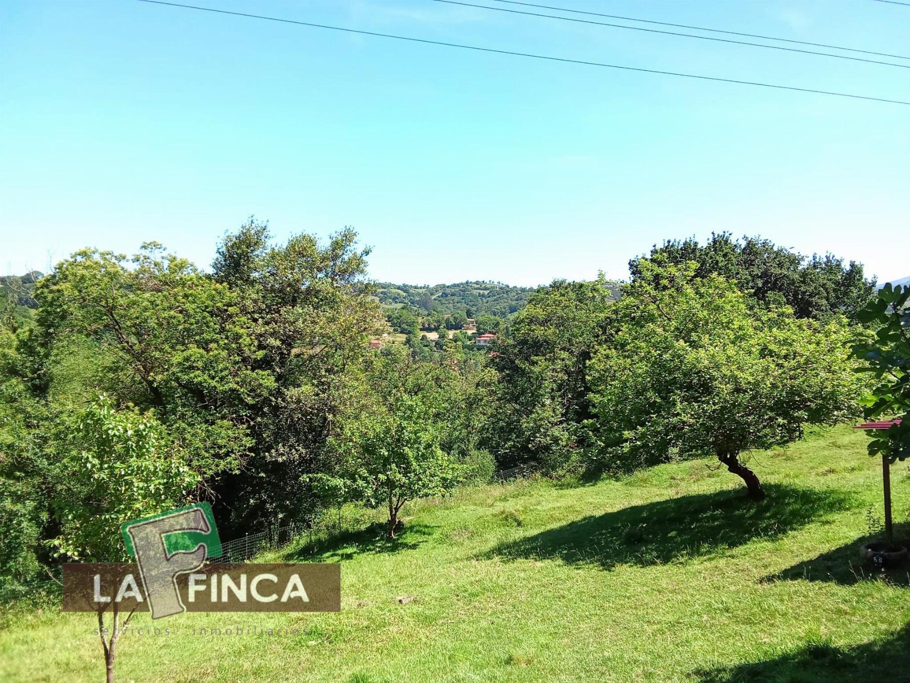 Venta de terreno en Oviedo