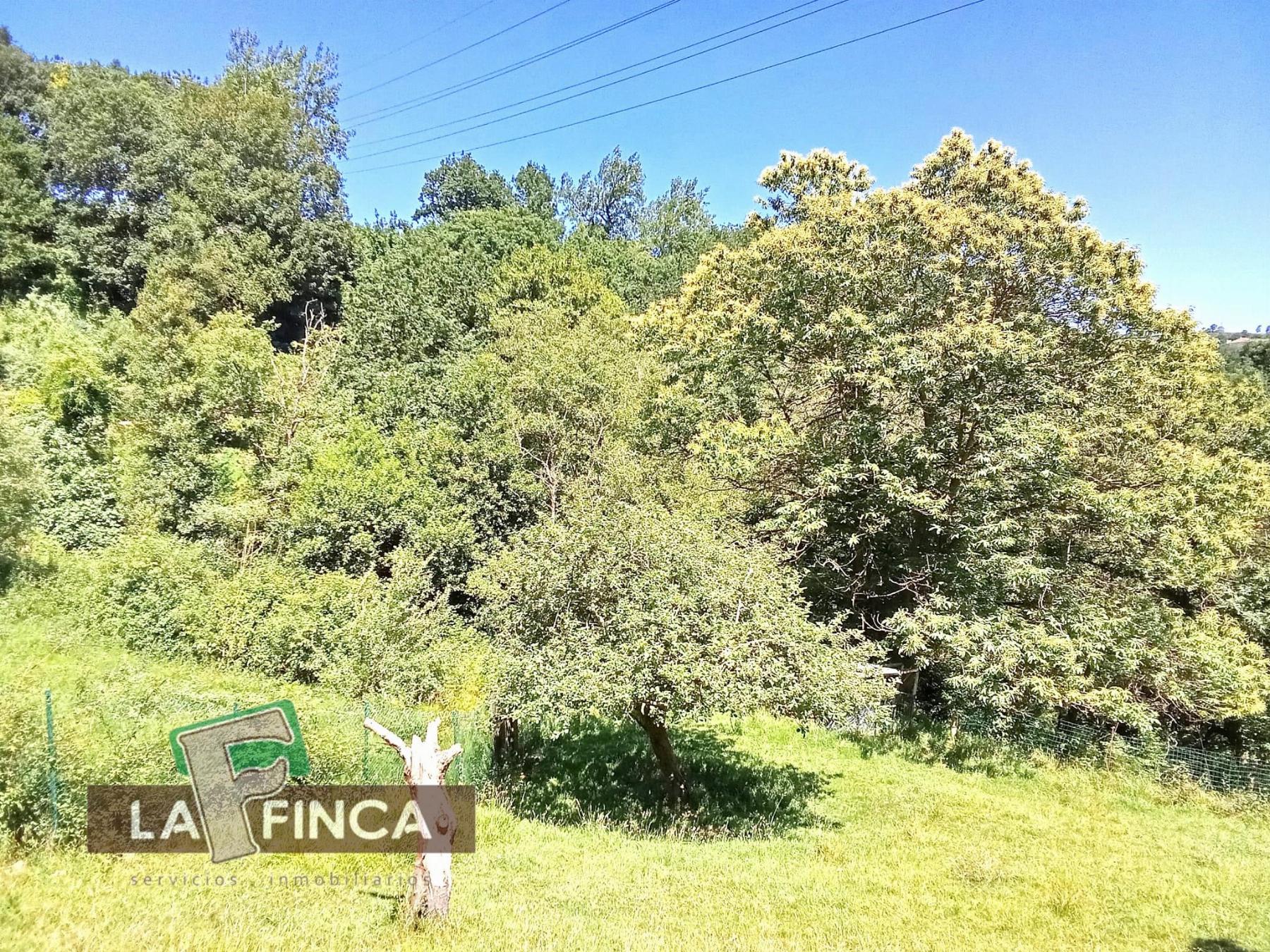 Venta de terreno en Oviedo