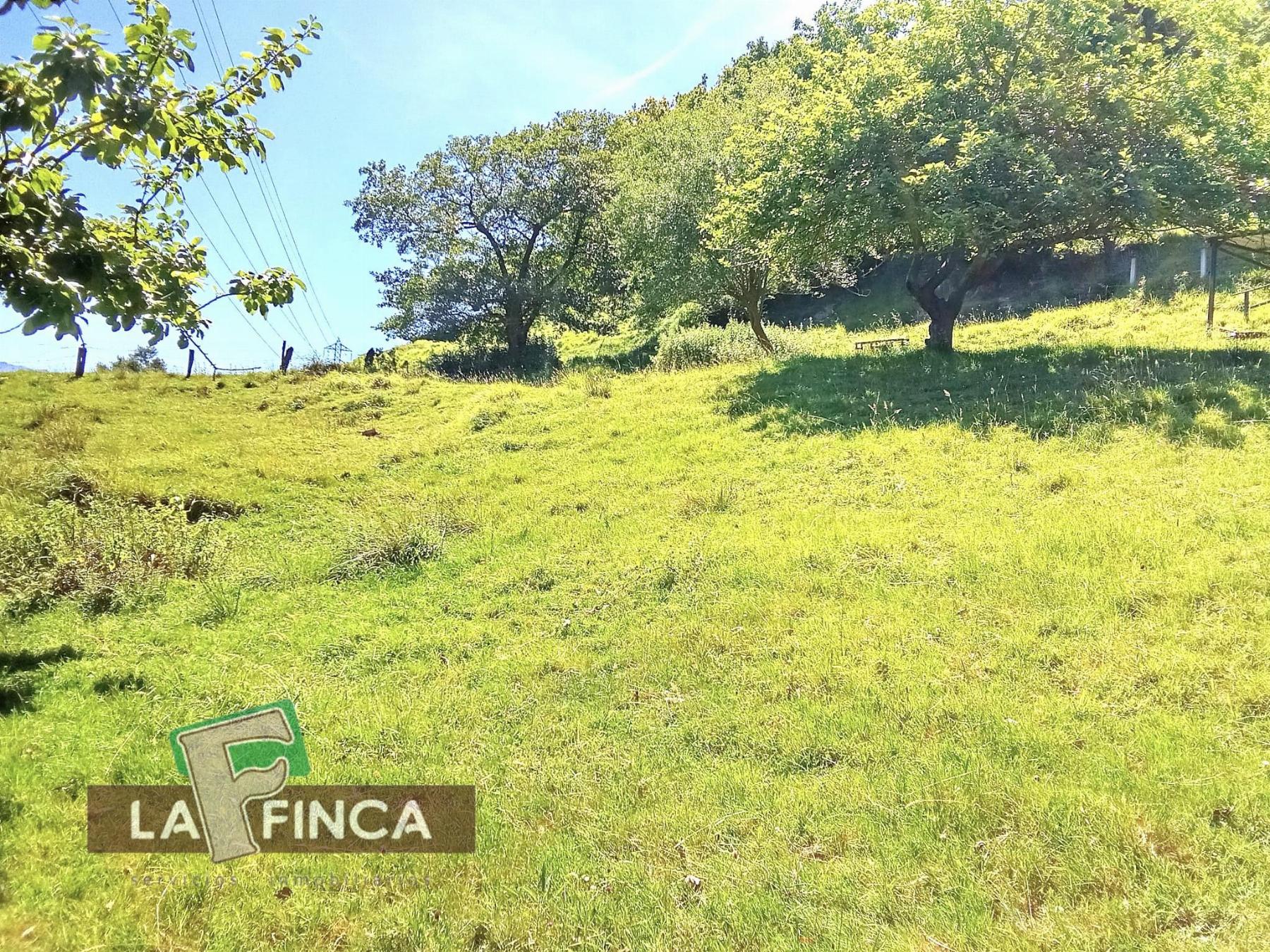 Venta de terreno en Oviedo