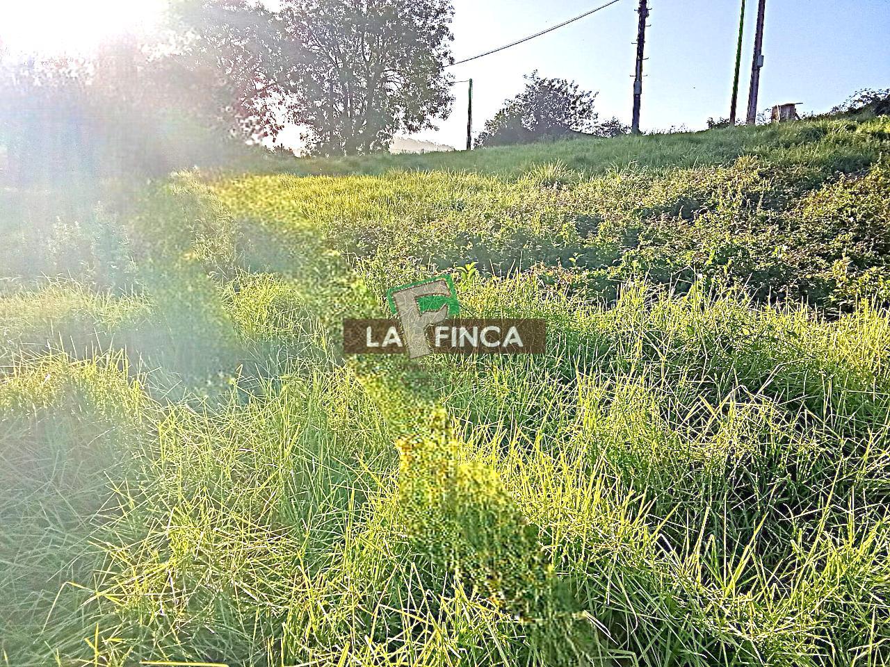Venta de terreno en Illas