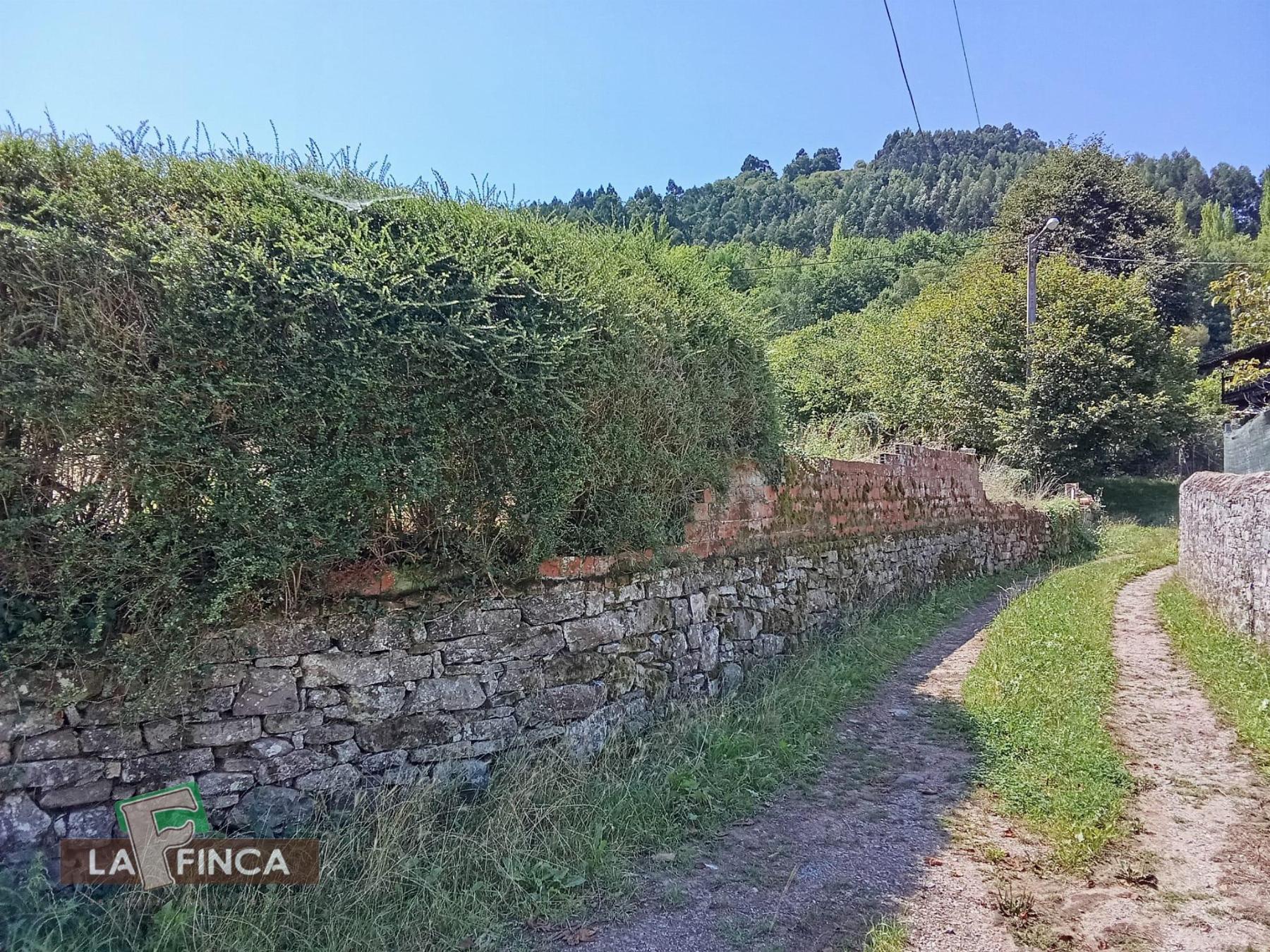Venta de casa en Villaviciosa
