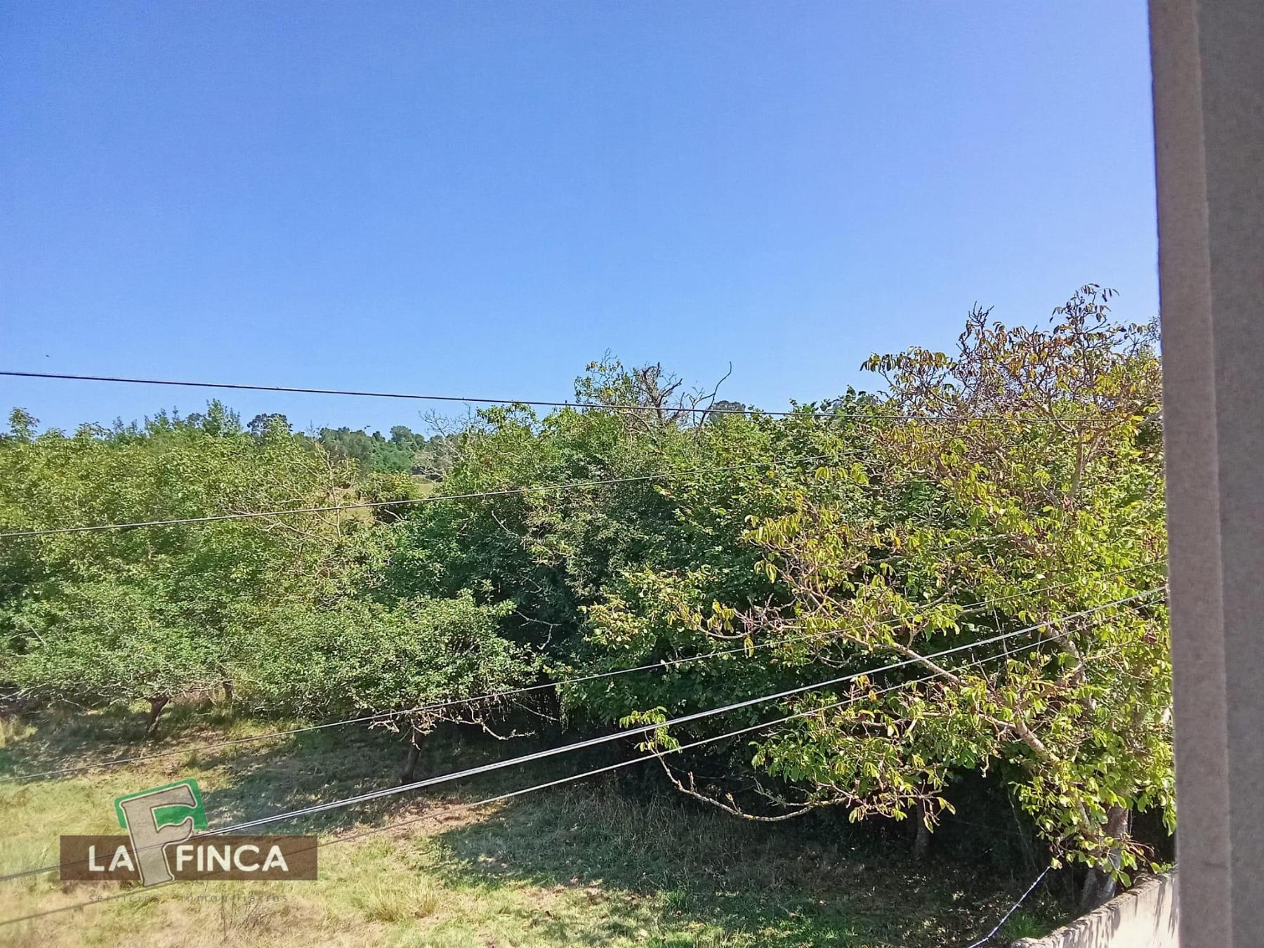 Venta de casa en Villaviciosa
