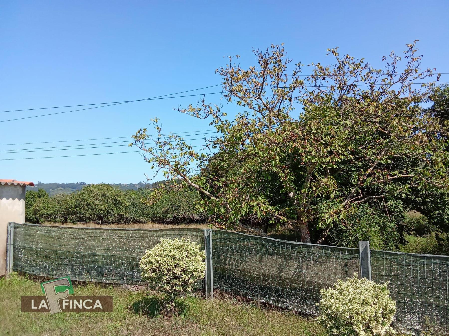 Venta de casa en Villaviciosa