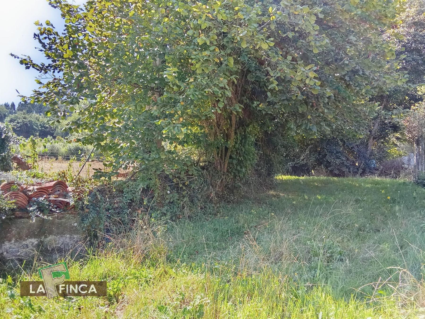 Venta de casa en Villaviciosa