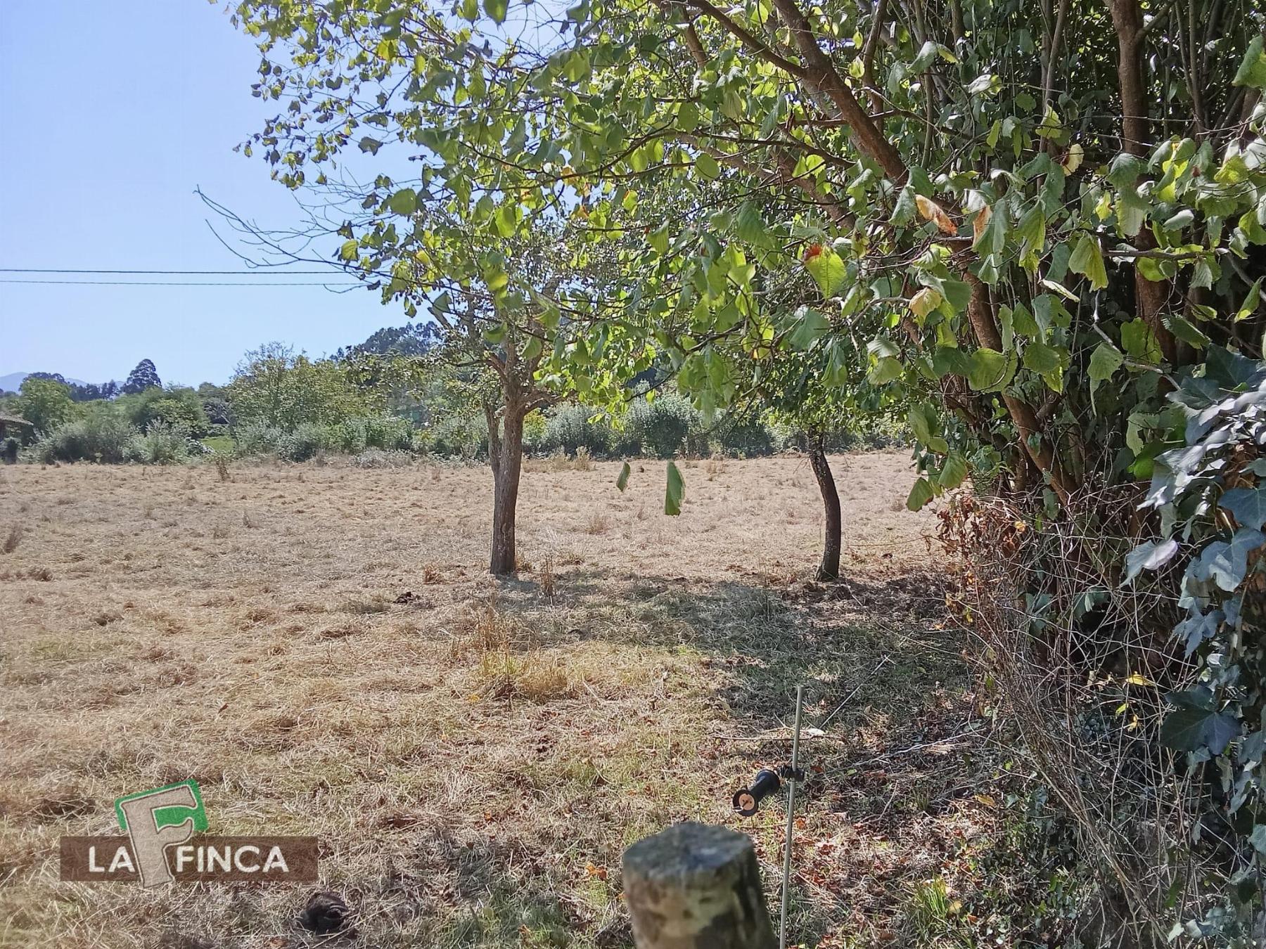 Venta de casa en Villaviciosa