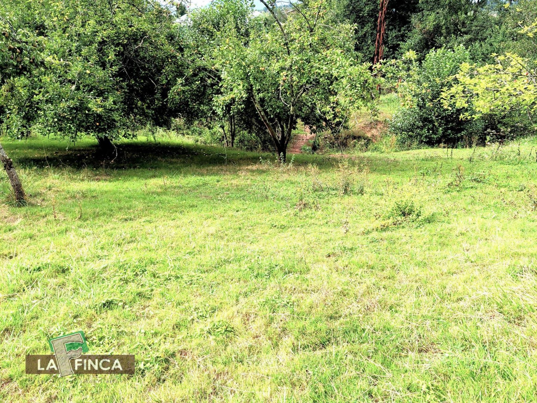 Venta de casa en Siero