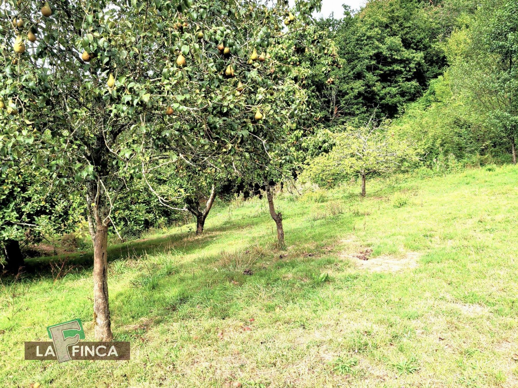 Venta de casa en Siero