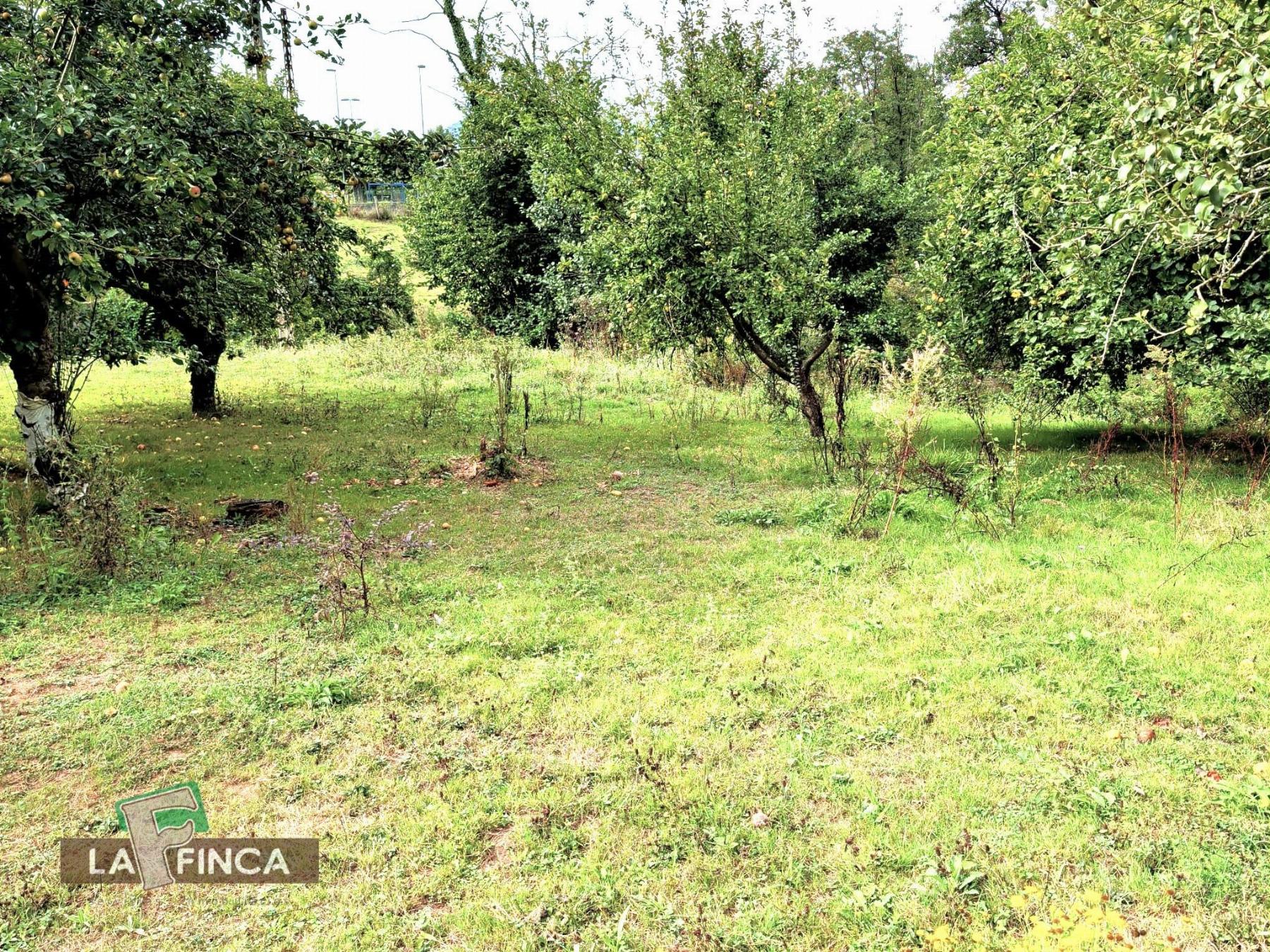 Venta de casa en Siero