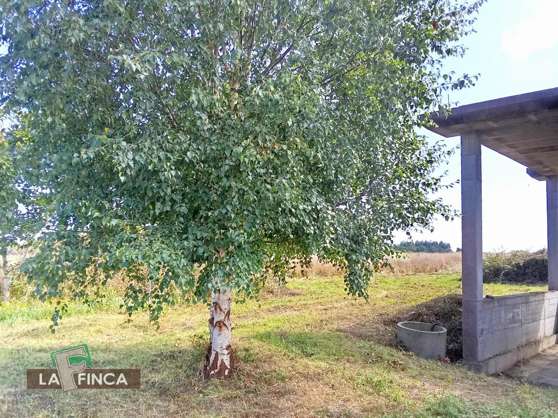 Venta de casa en El Franco