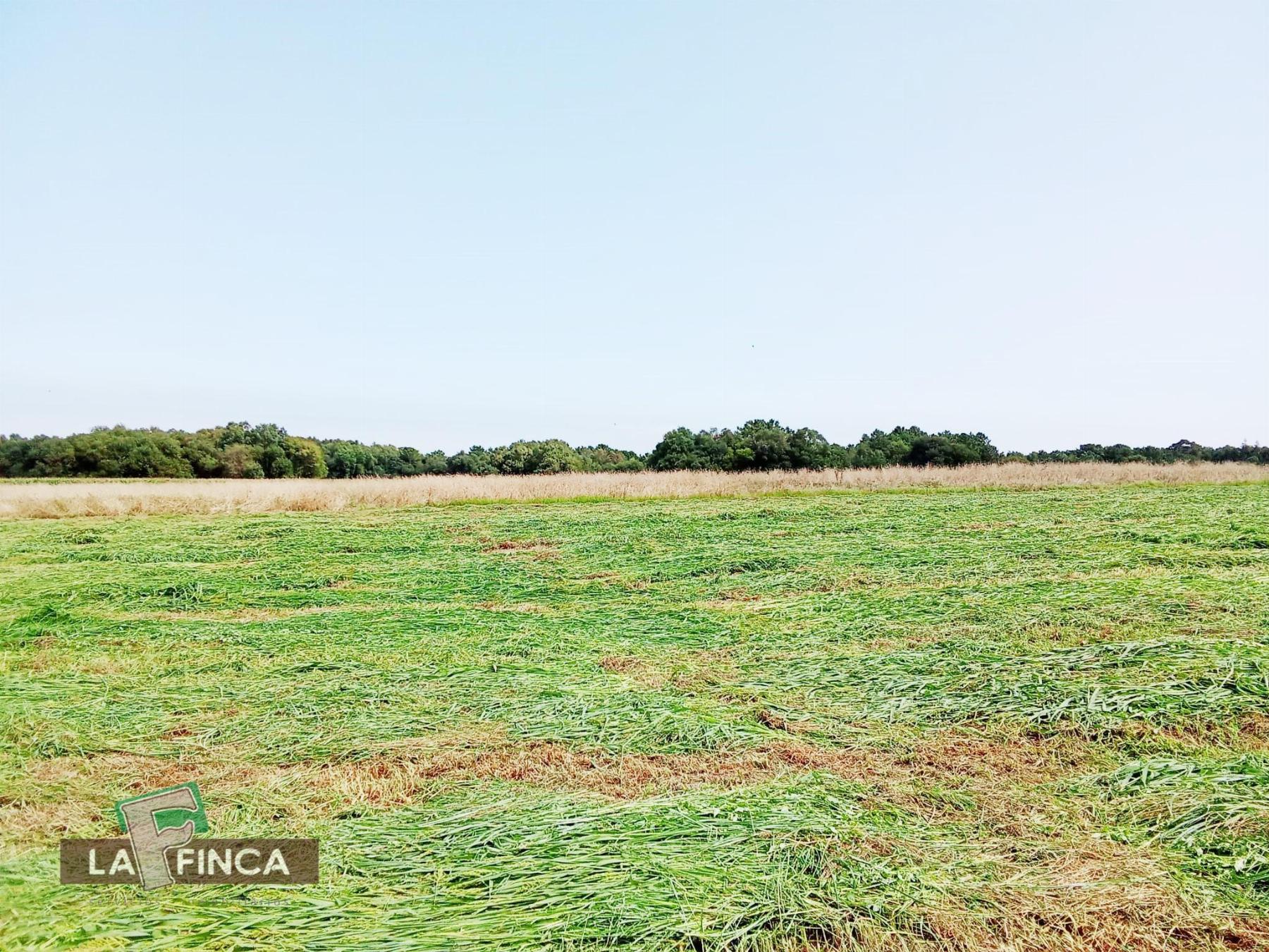 Venta de terreno en El Franco