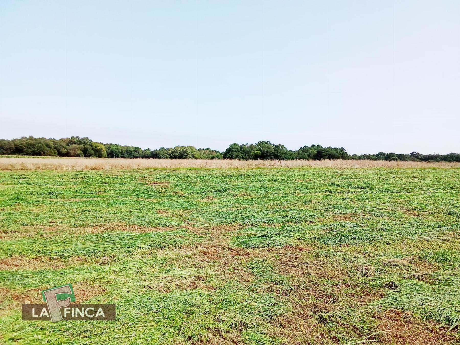 Venta de terreno en El Franco