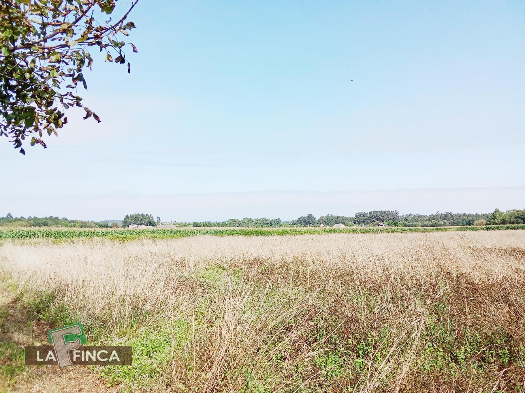Venta de terreno en El Franco