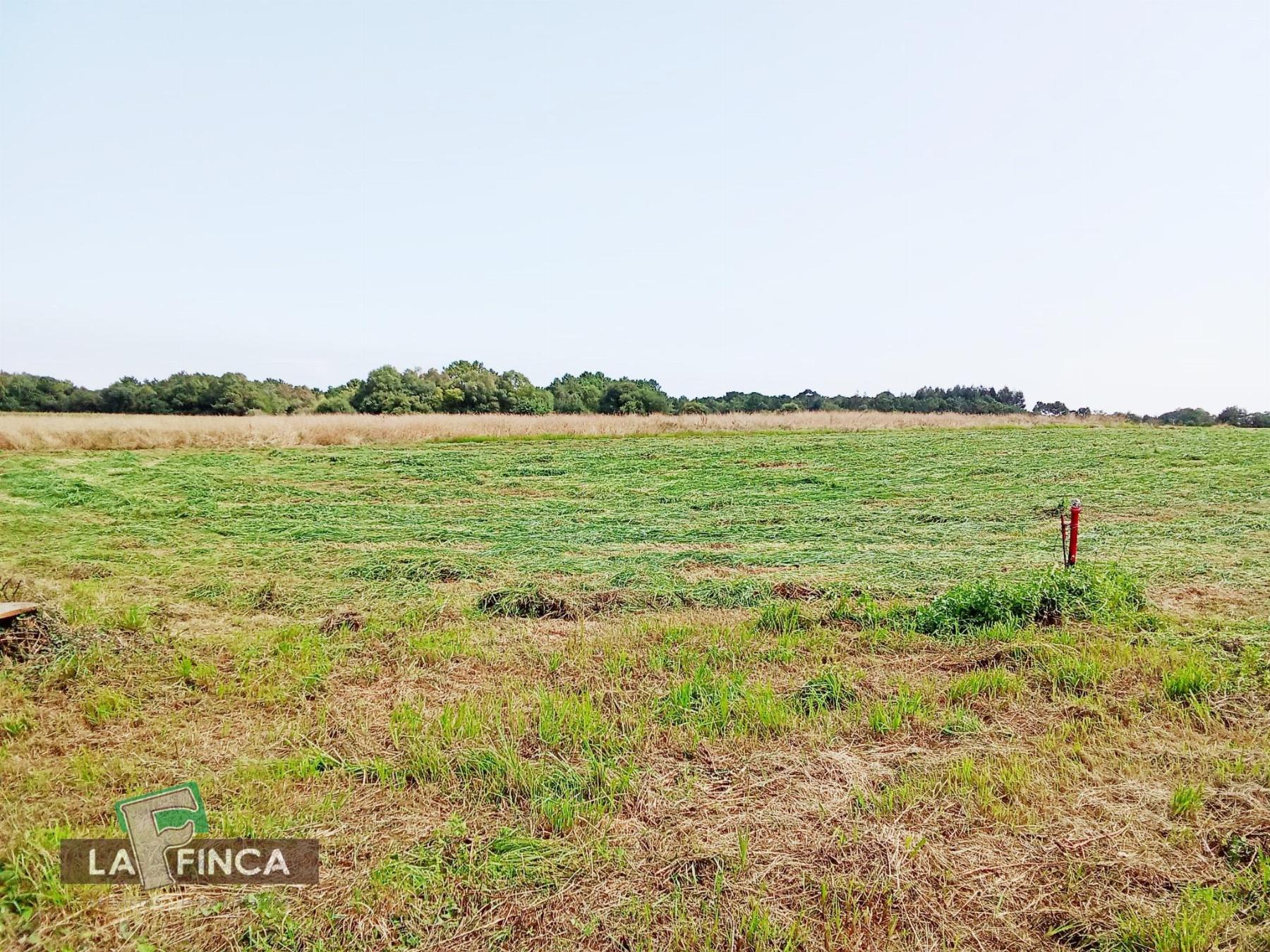 Venta de terreno en El Franco