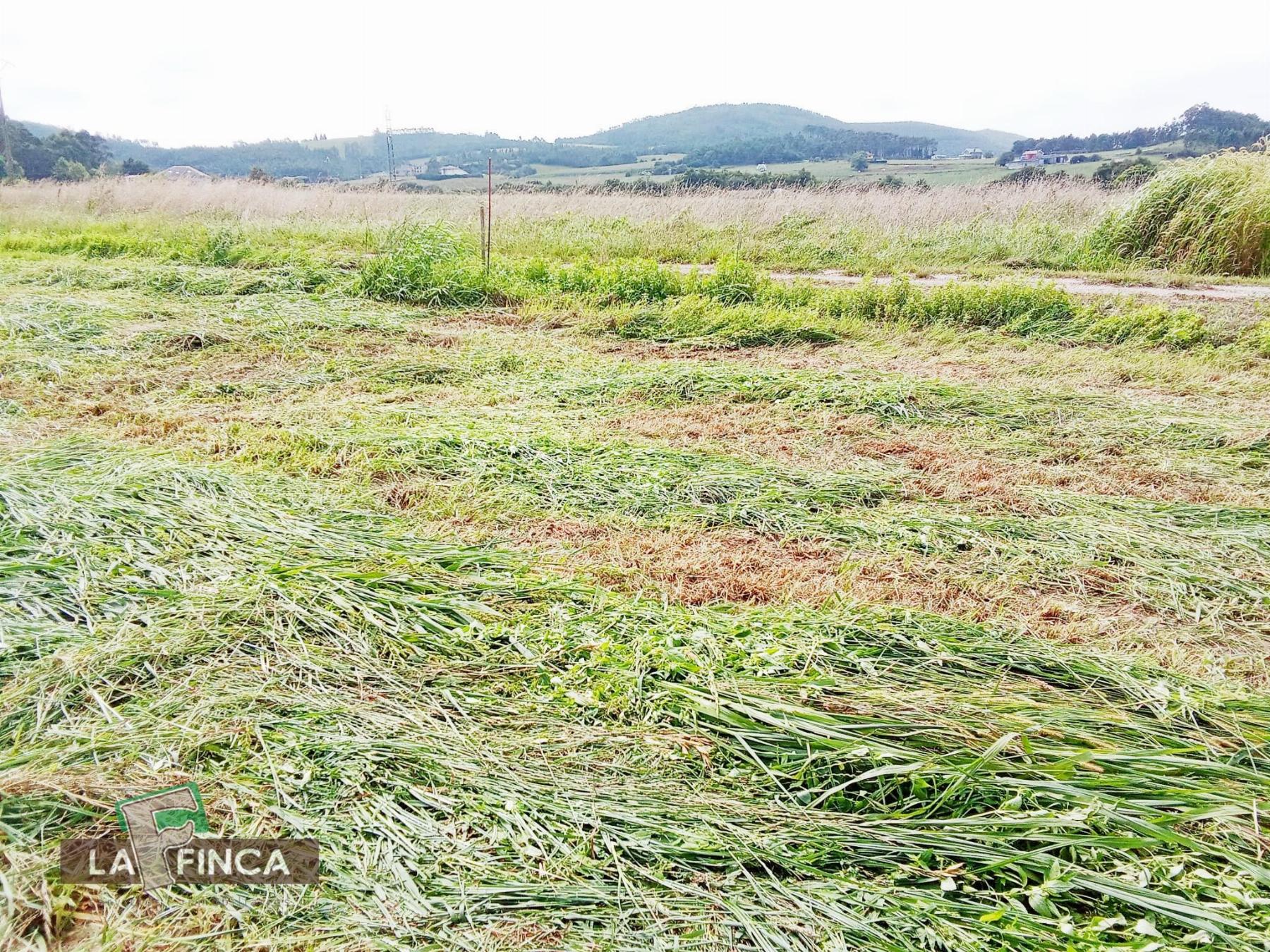 Venta de terreno en El Franco