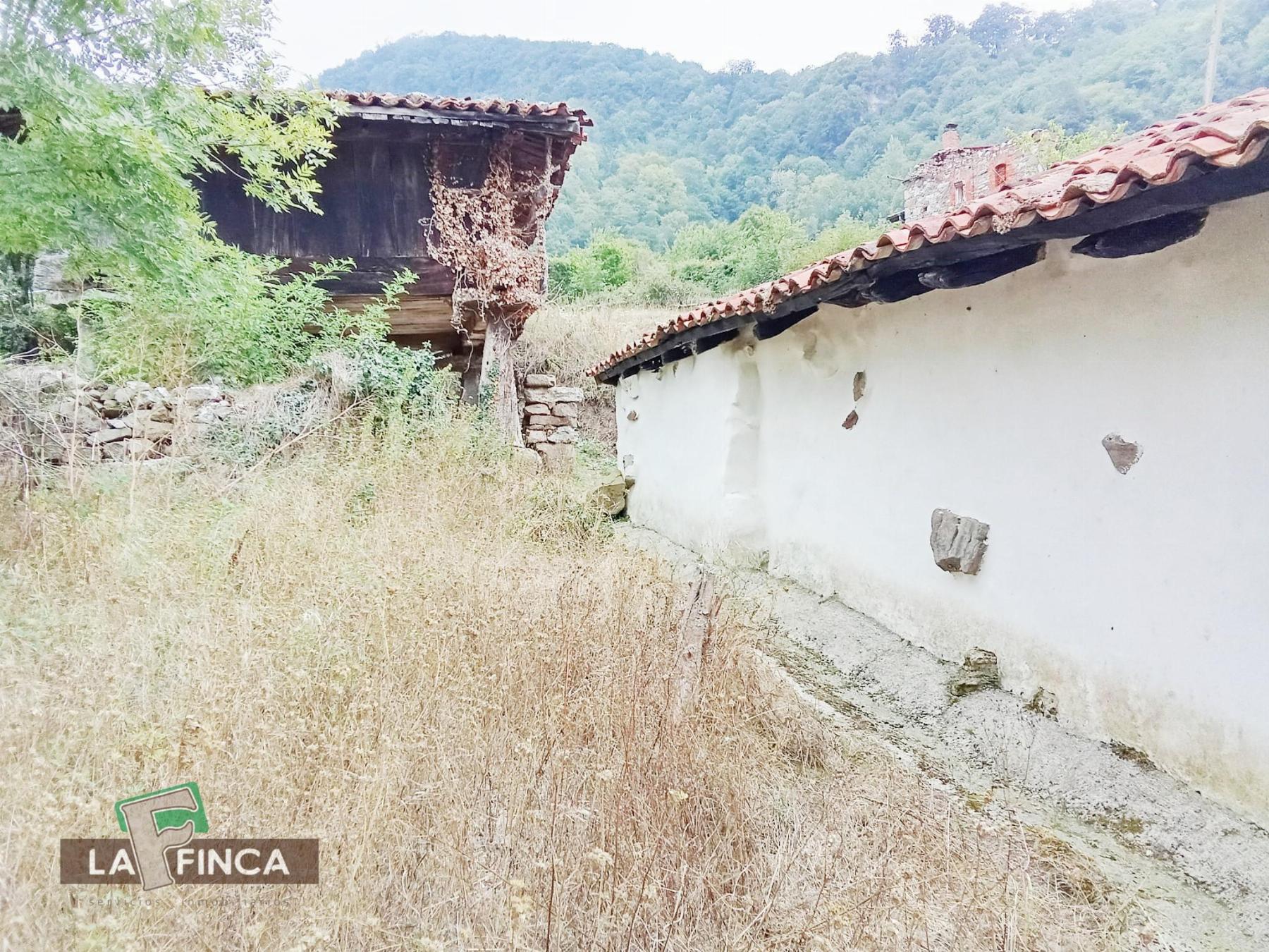 Venta de casa en Oviedo